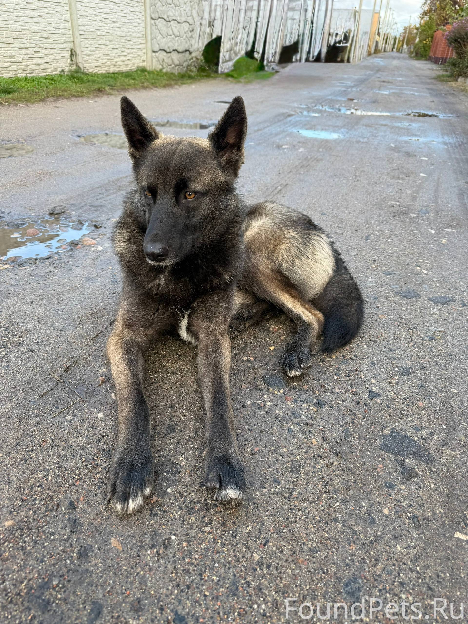 В районе Киевка Брест найдена ...