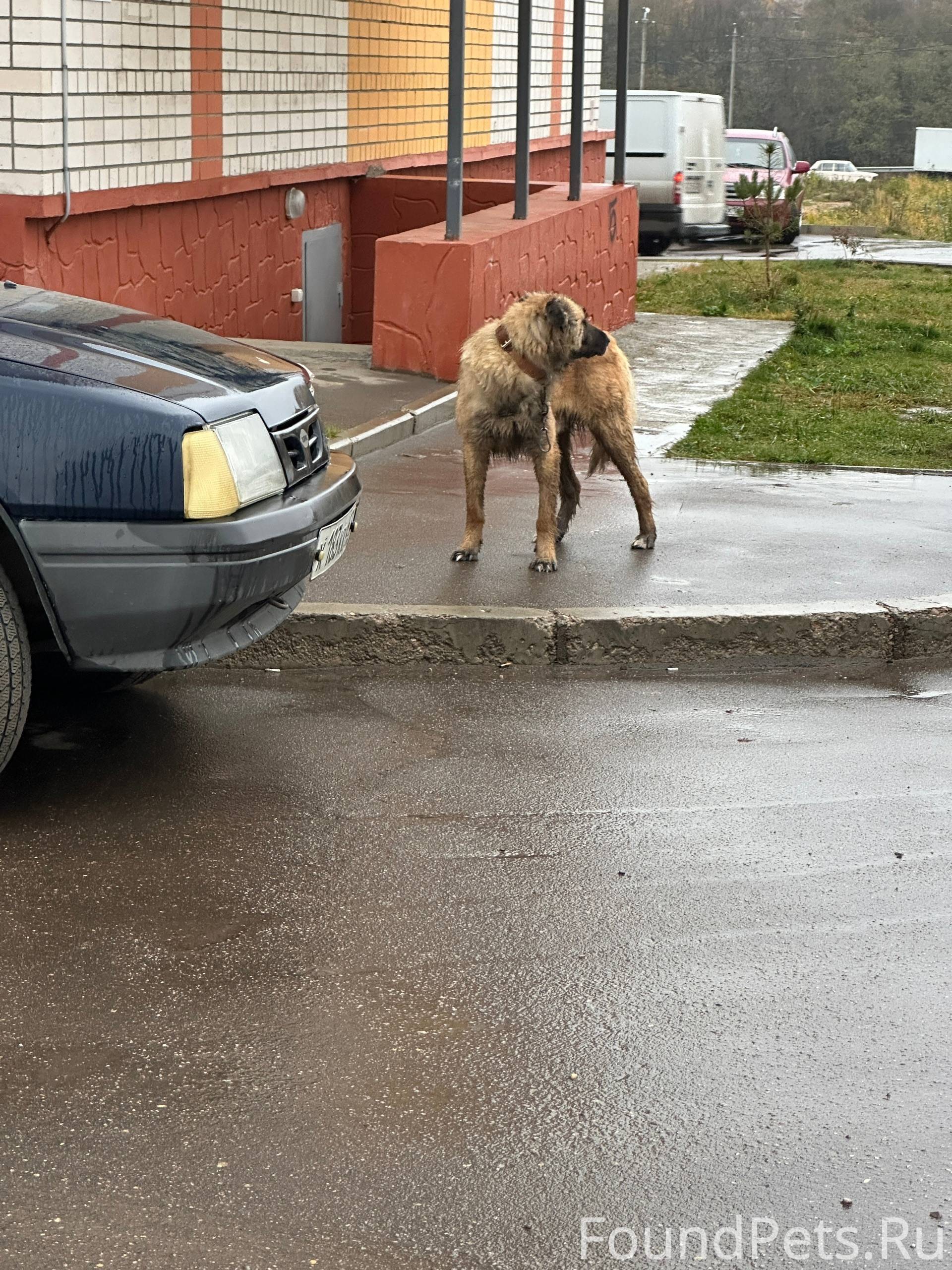 В районе Алтуховки несколько д...
