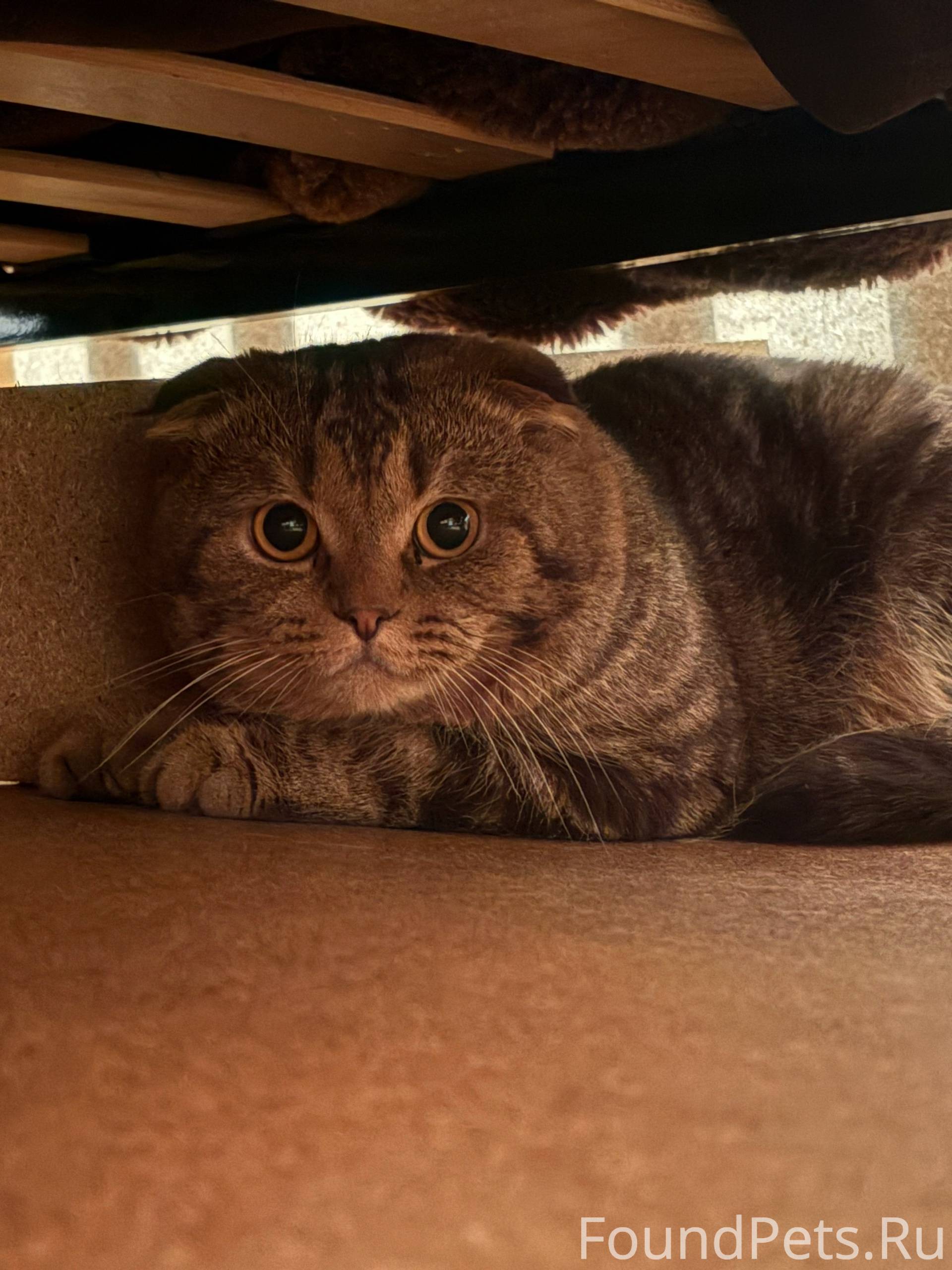 Помогаю информативно! Ногинск,...