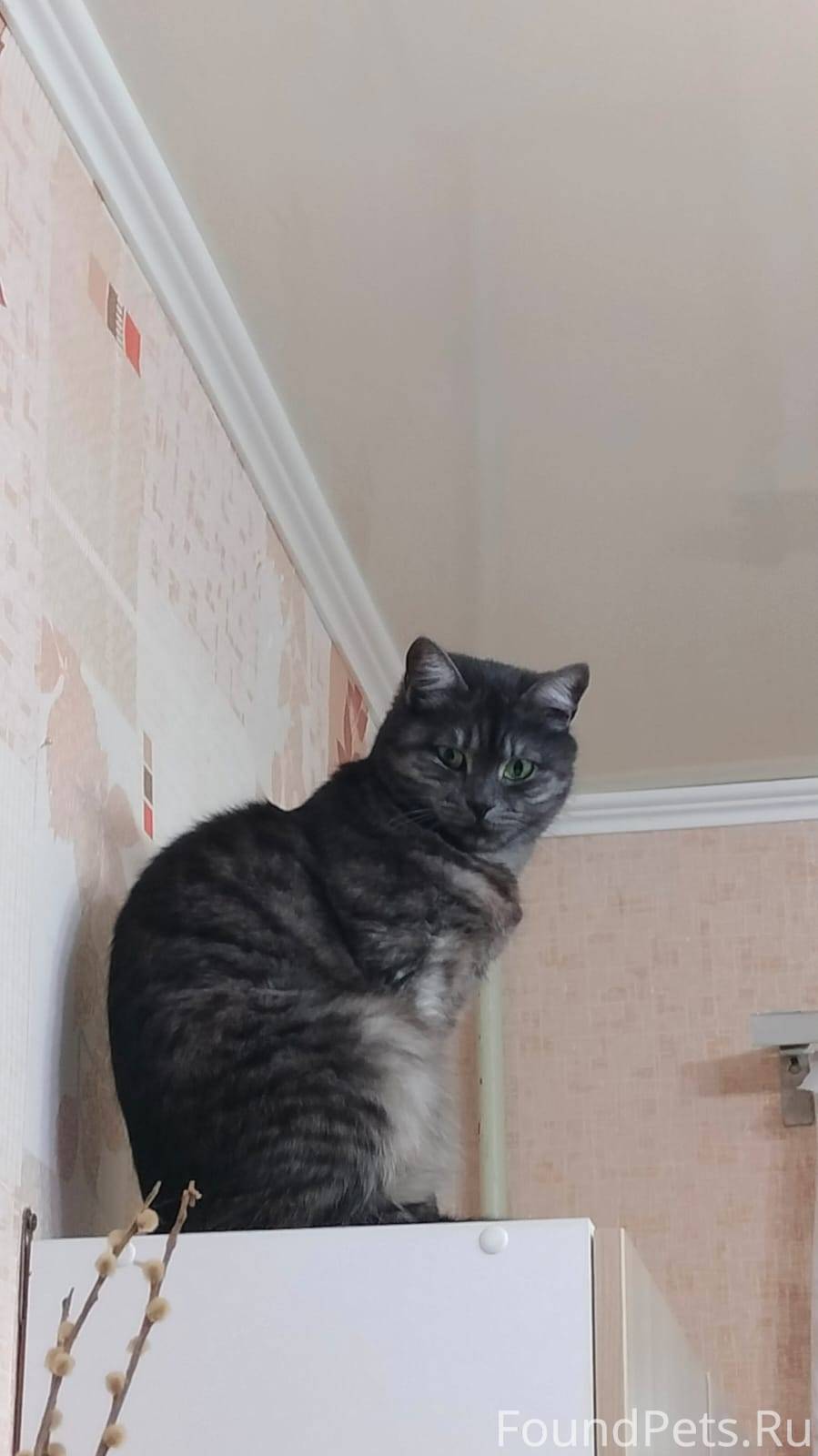 Туймазы! Здравствуйте,помогаю ...