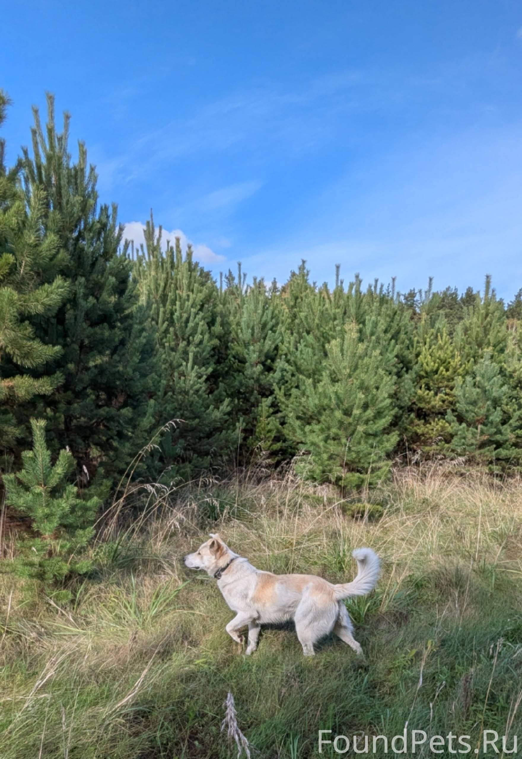 Чуть не стала сегодня обладате...