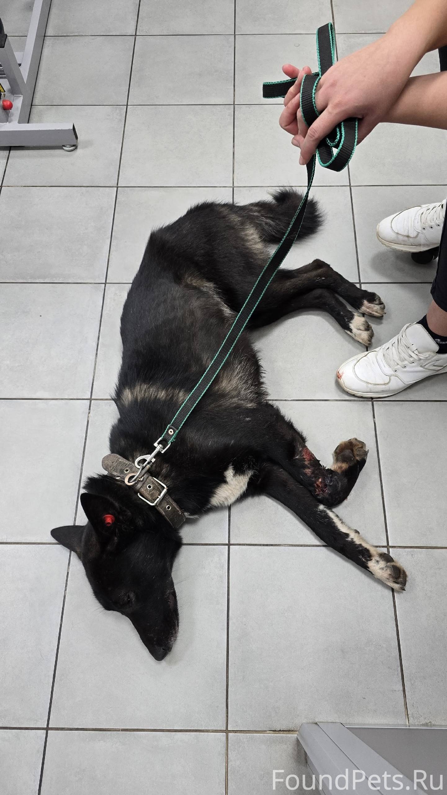 Дорогие мои друзья, слёзно про...