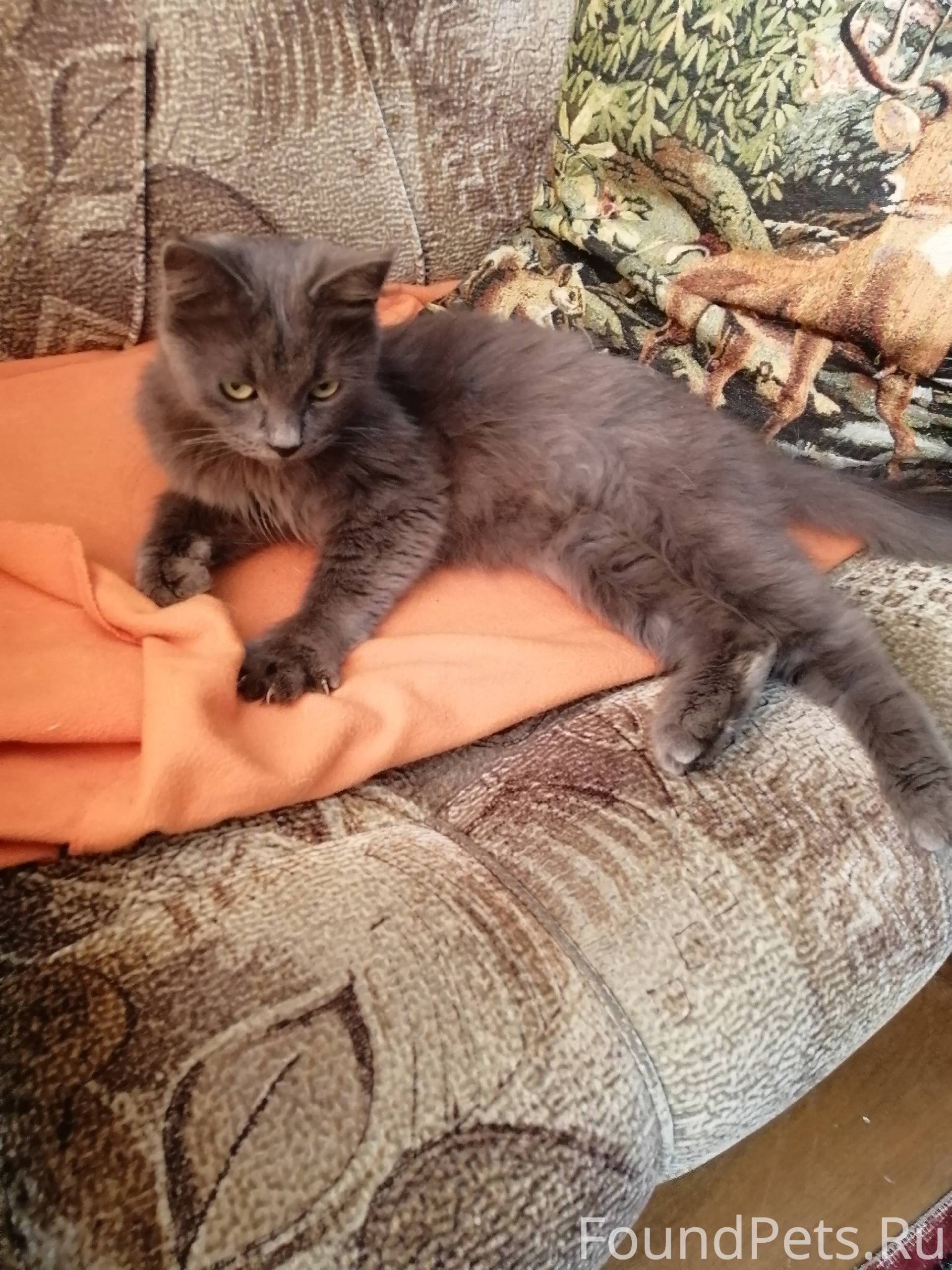 SOS! Утром 7 октября возле Маг...