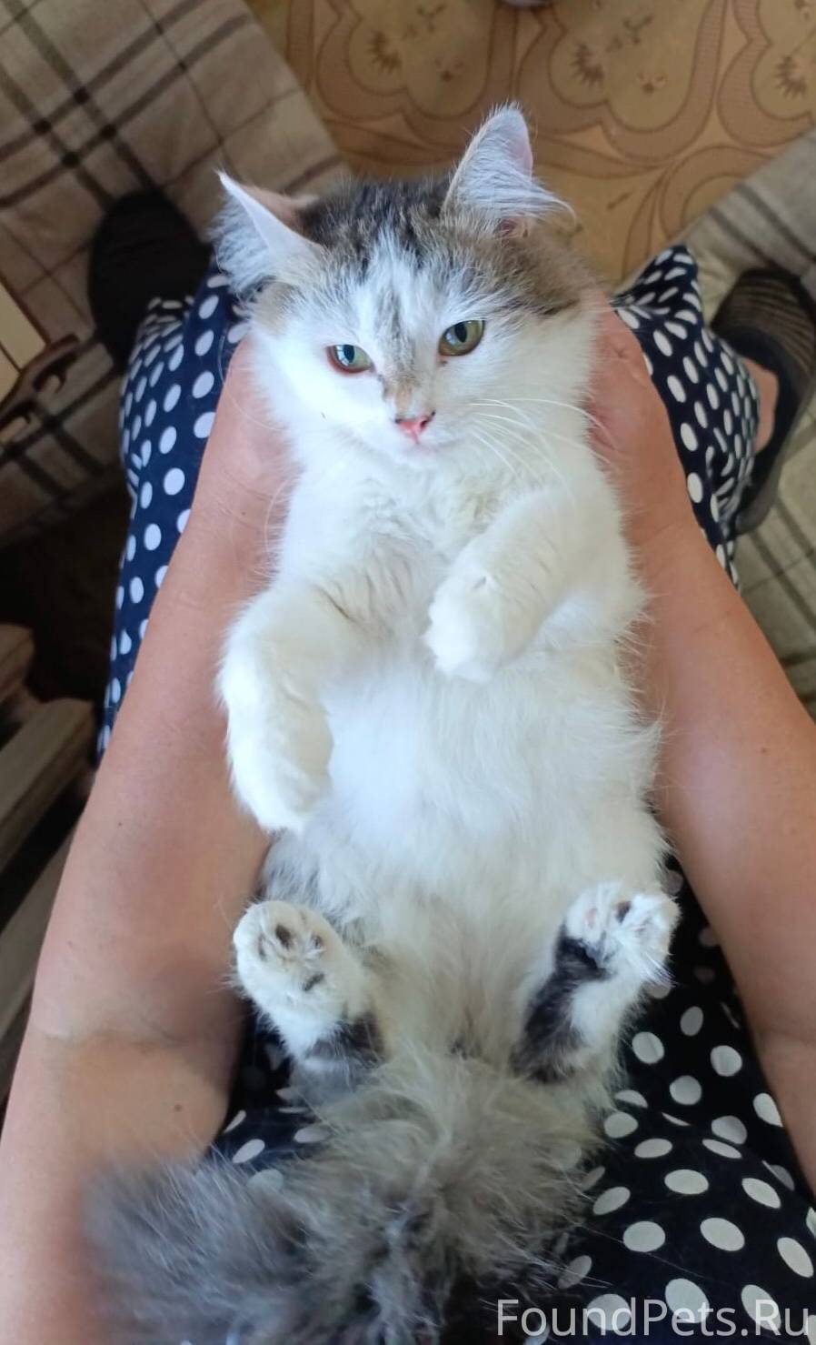 Кинешма. Стешу нашли в коллект...