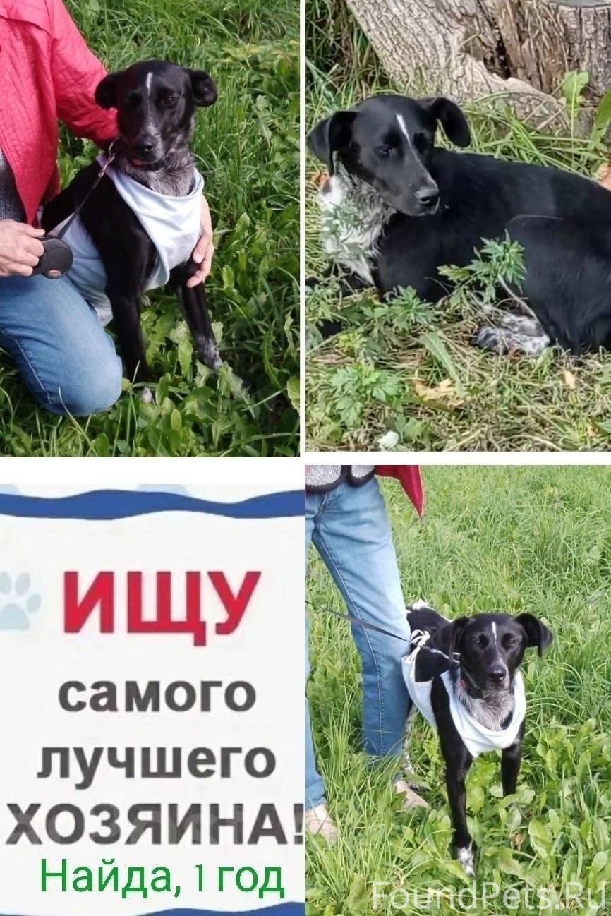 Тейково! Иваново! Область! Ооо...