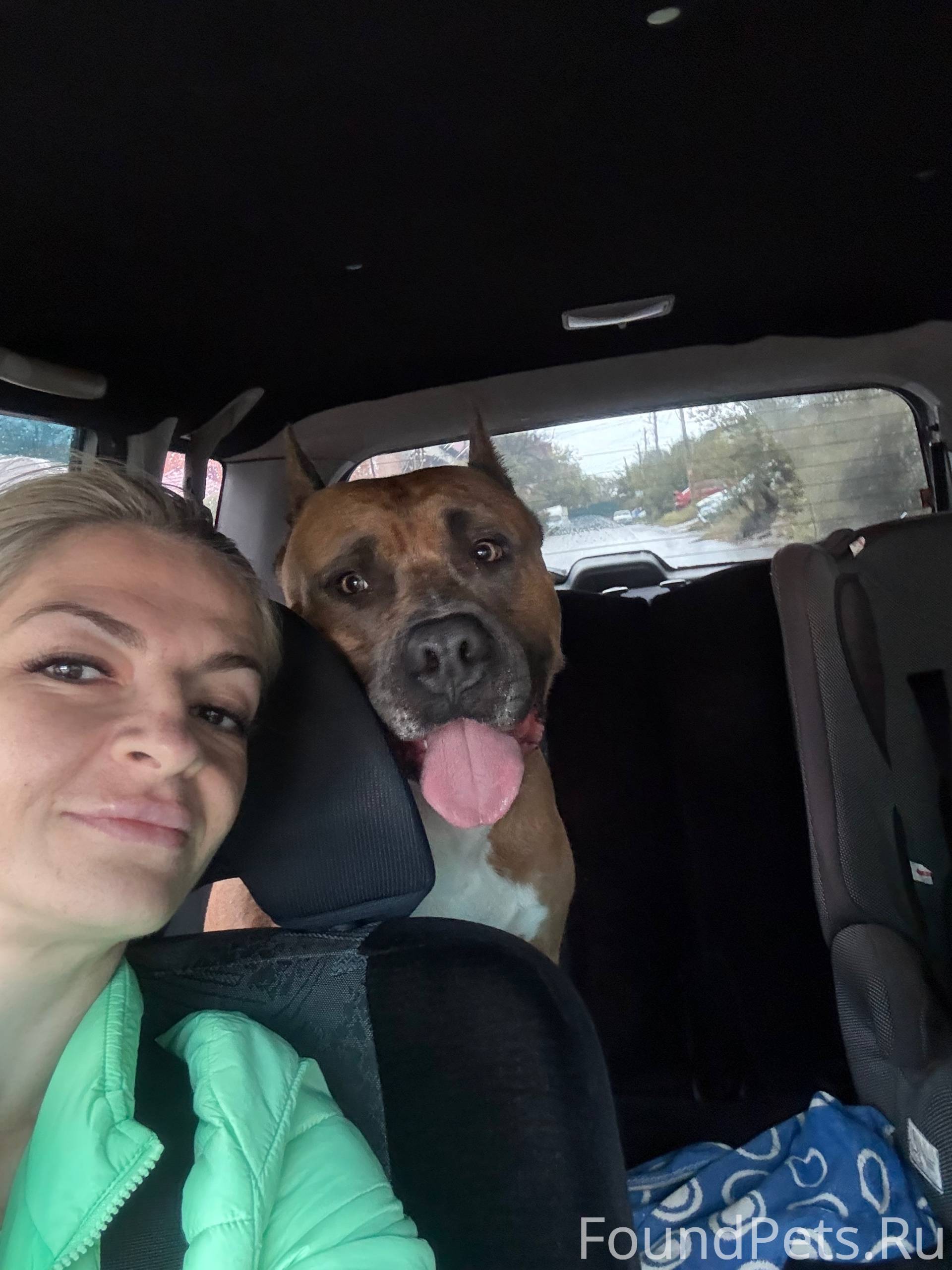 Вот такое сумасшедшее утро был...