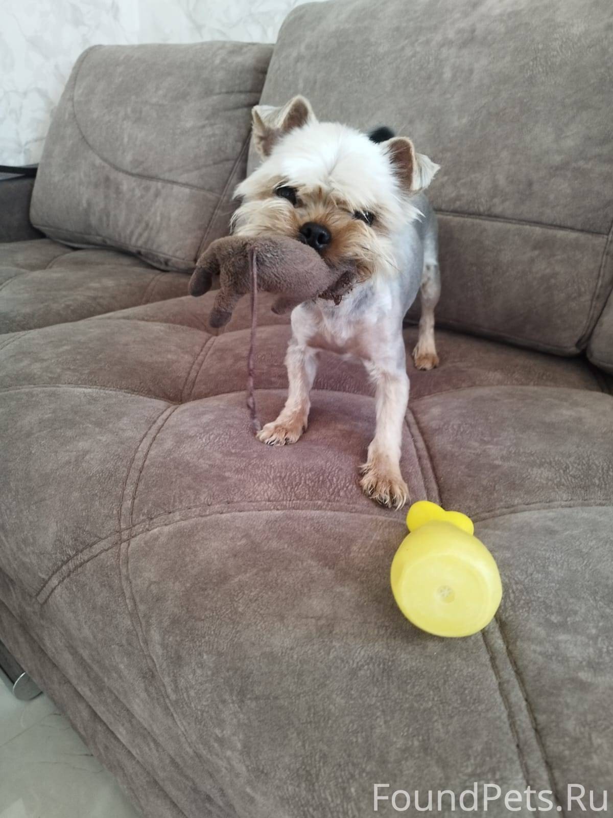 В х. Семигорском потерялась со...