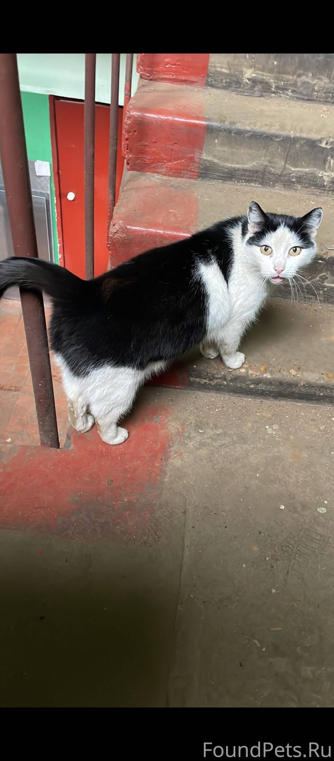 Город Чехов Московская область...