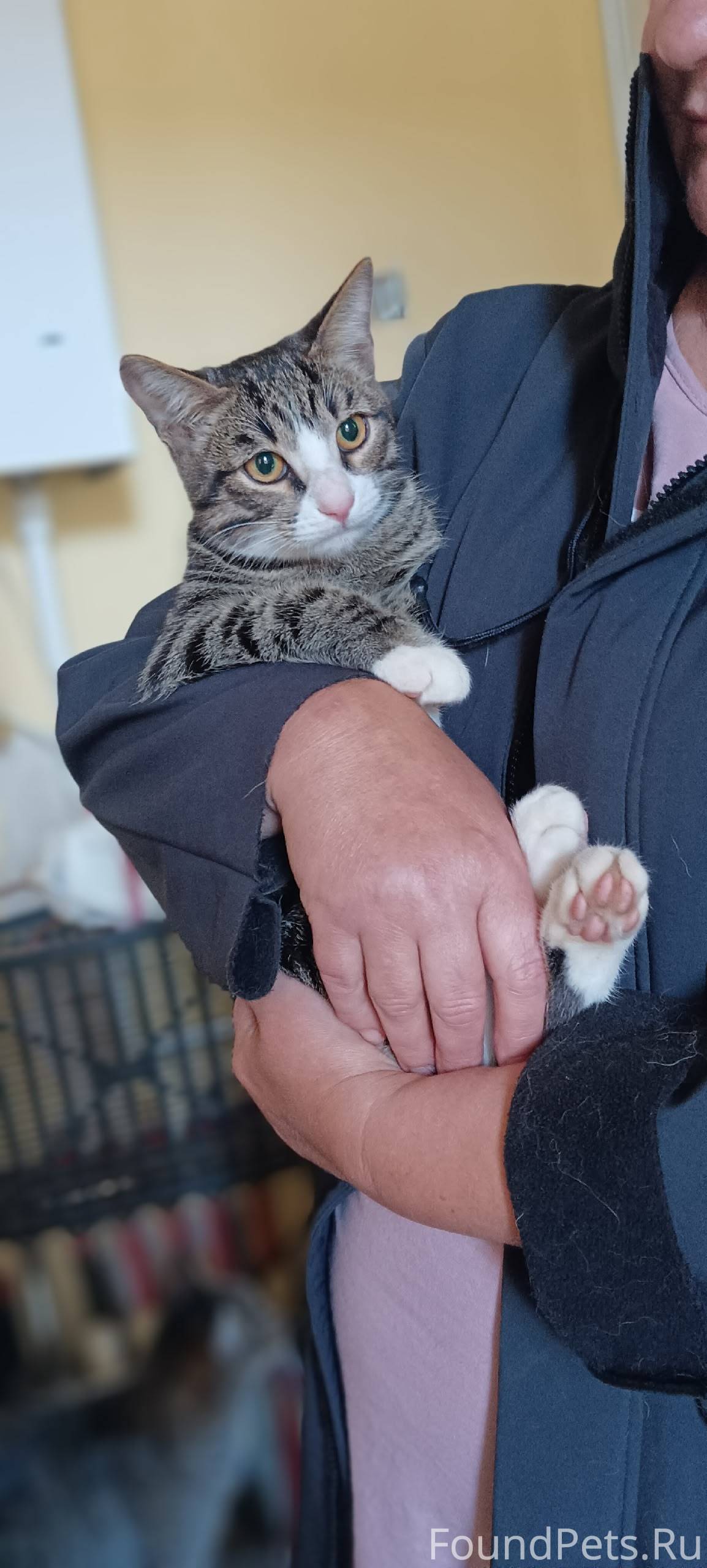 Мальчишка, с отрубленным хвост...