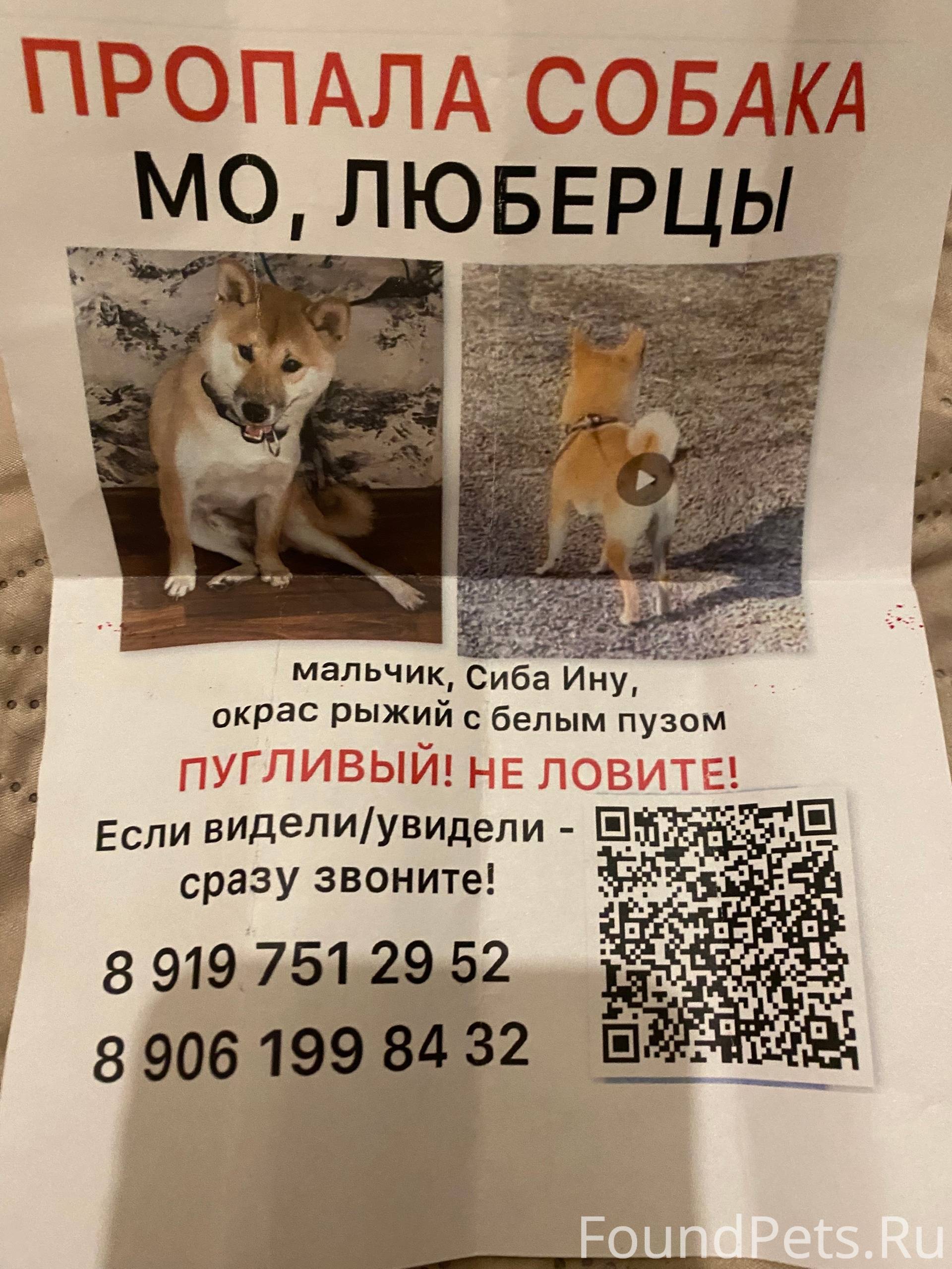 Добрый день! Просьба опубликов...