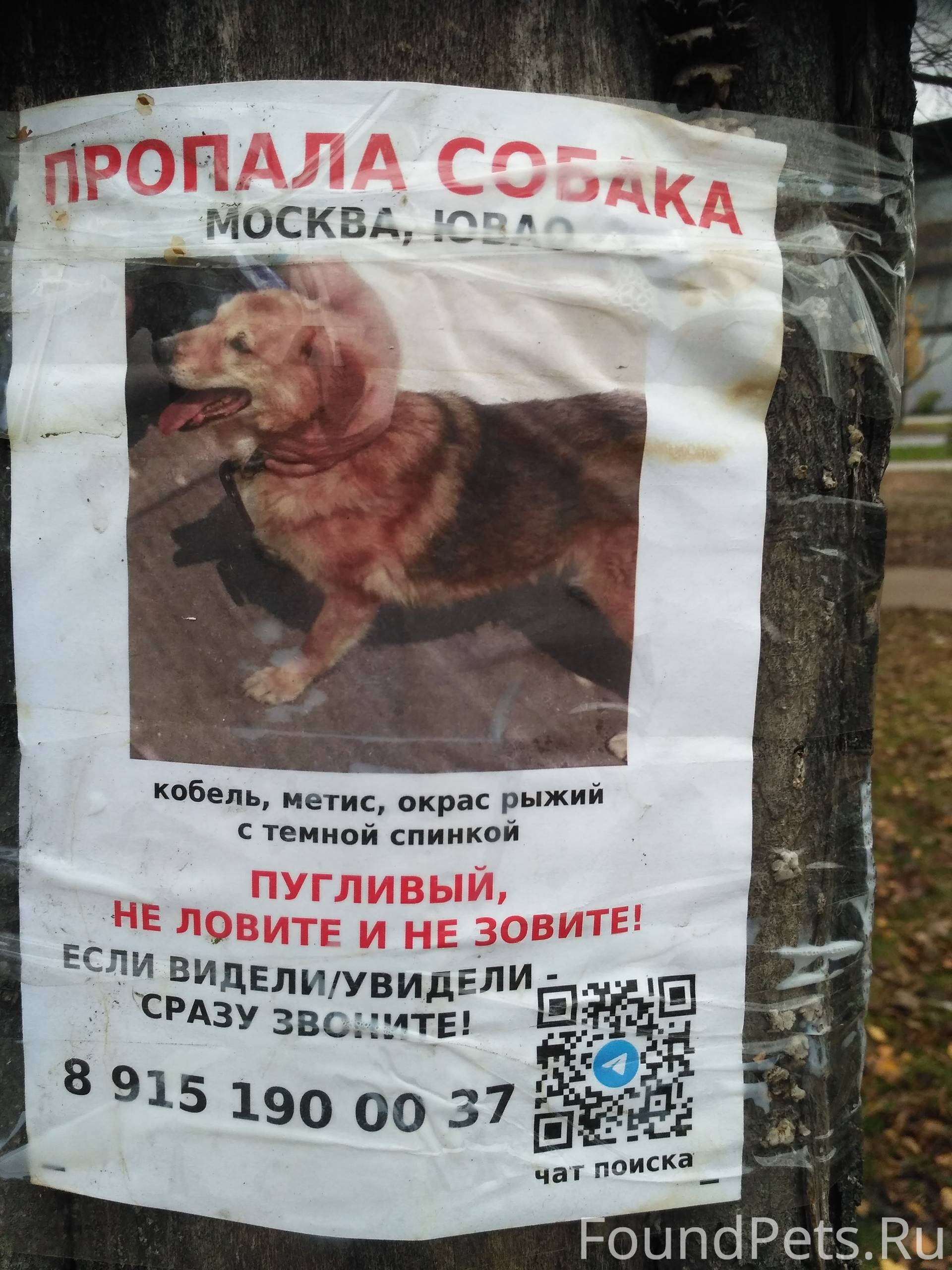 Помогаю информационно: ПРОПАЛА...