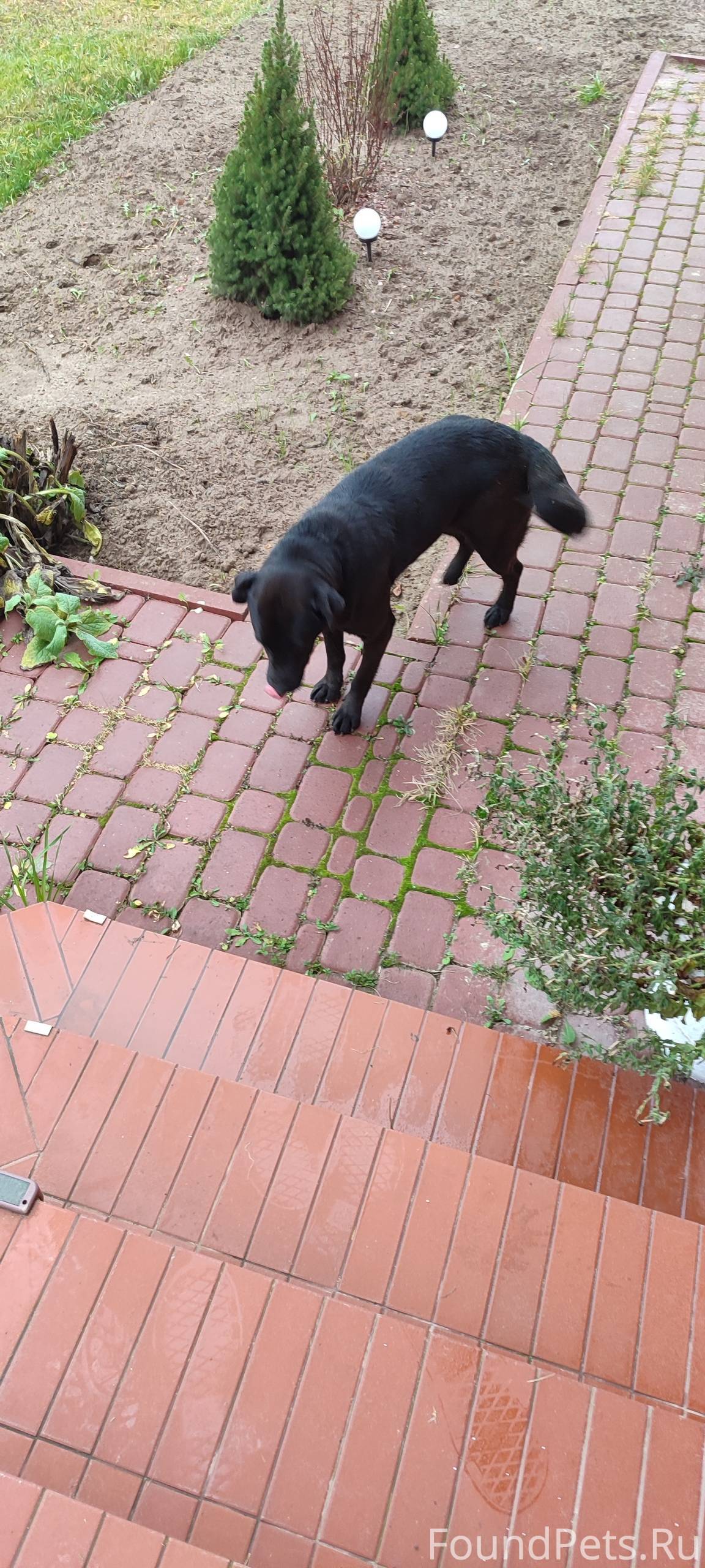 Разместите, пожалуйста. В Деян...