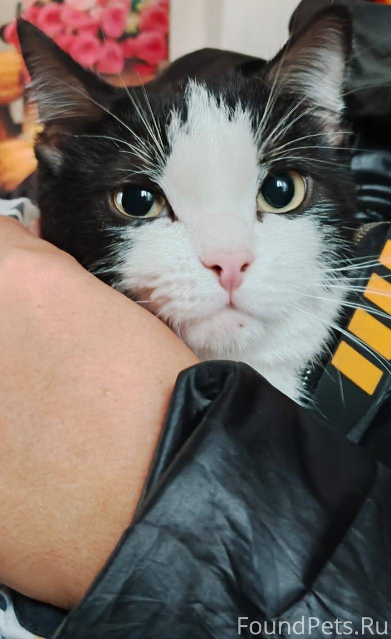 Внимание Красноармейский! Нашл...