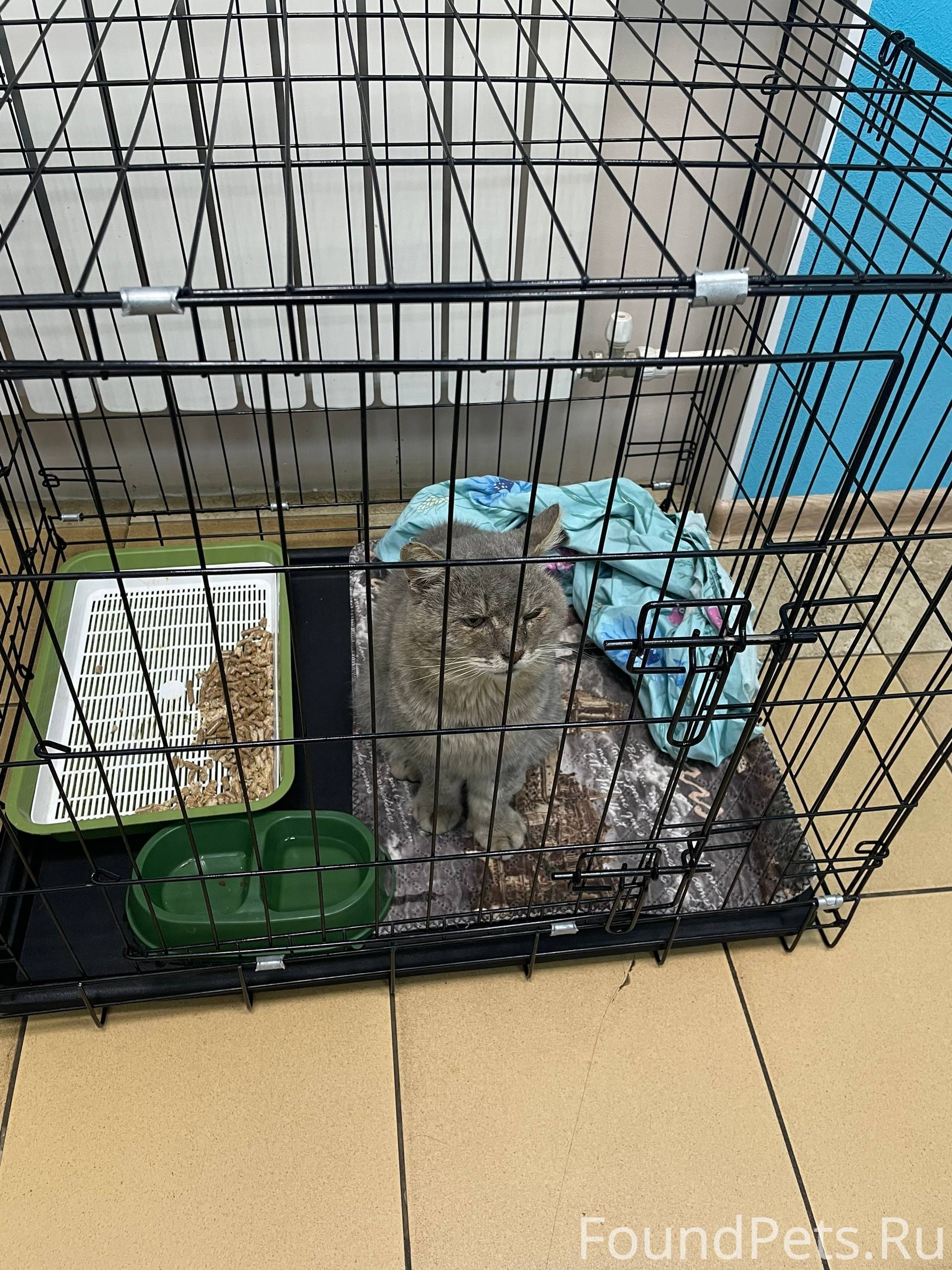 Здравствуйте❗️Прошу помощи в с...