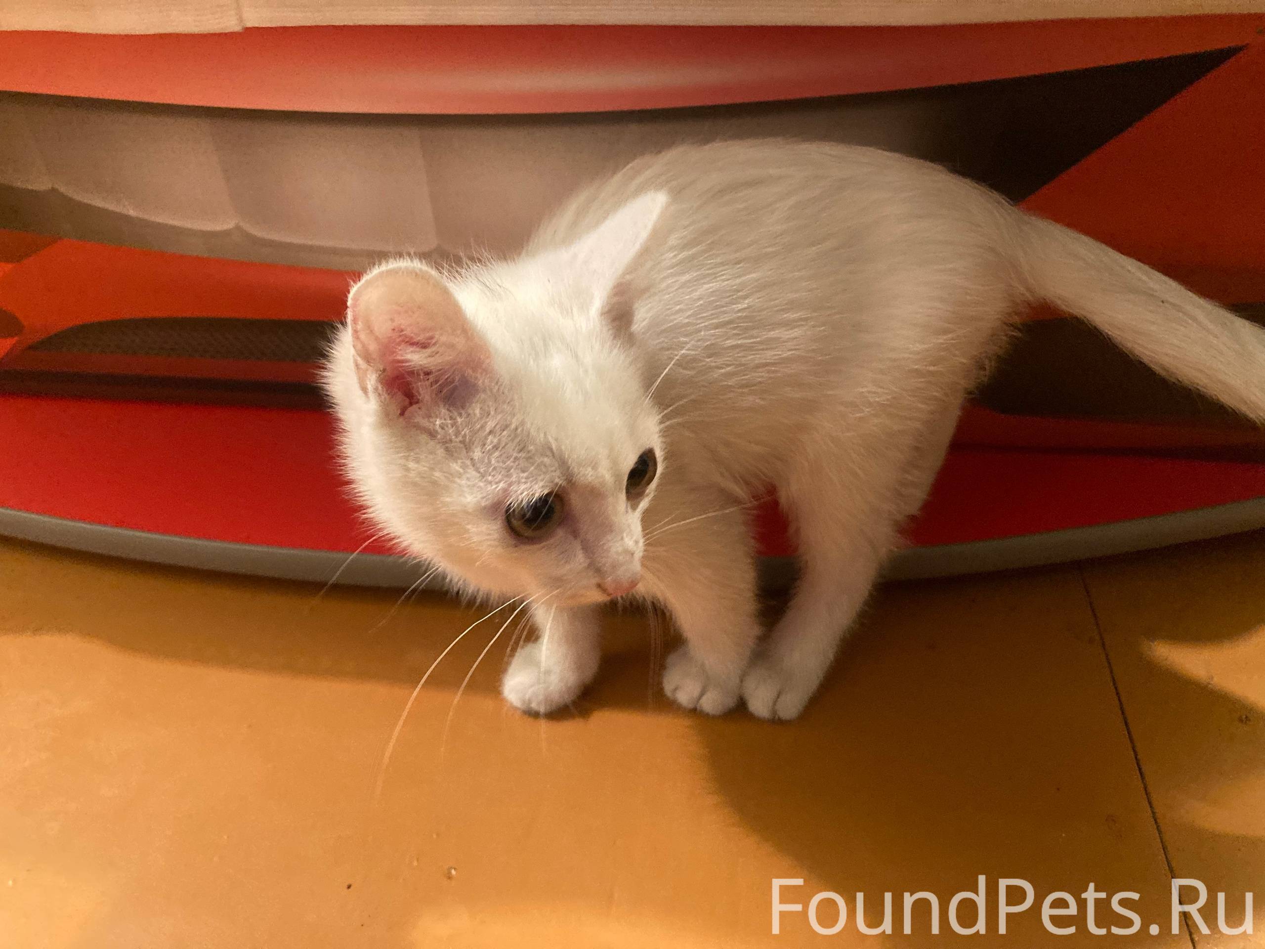 Улан-Удэ Здравствуйте,около аб...