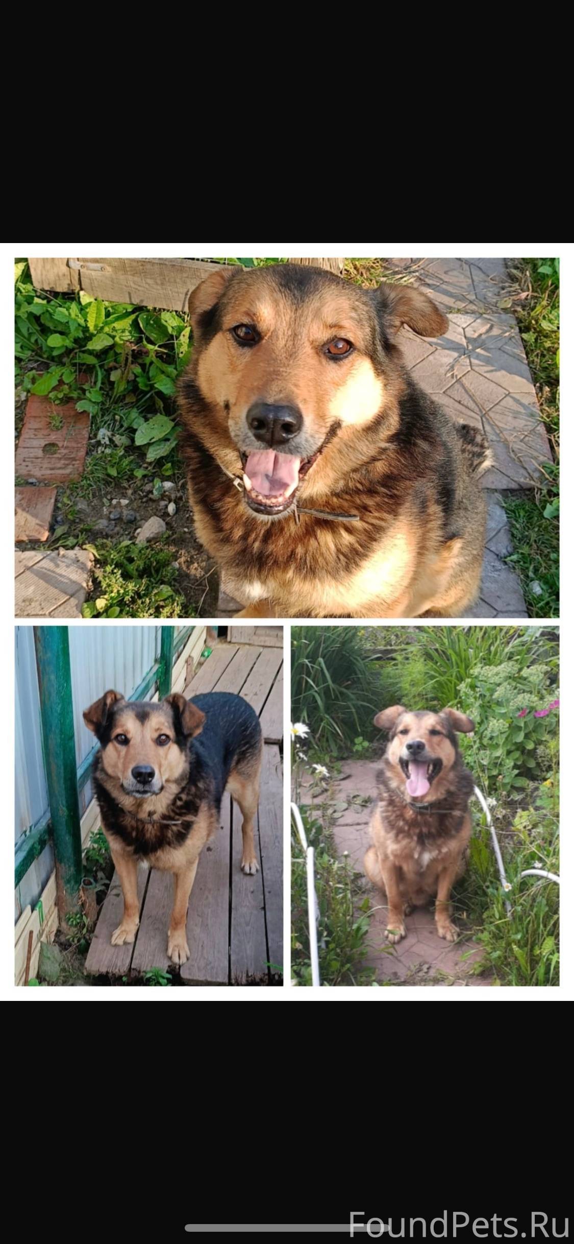 Поиск продолжается SOS! Нужна ...