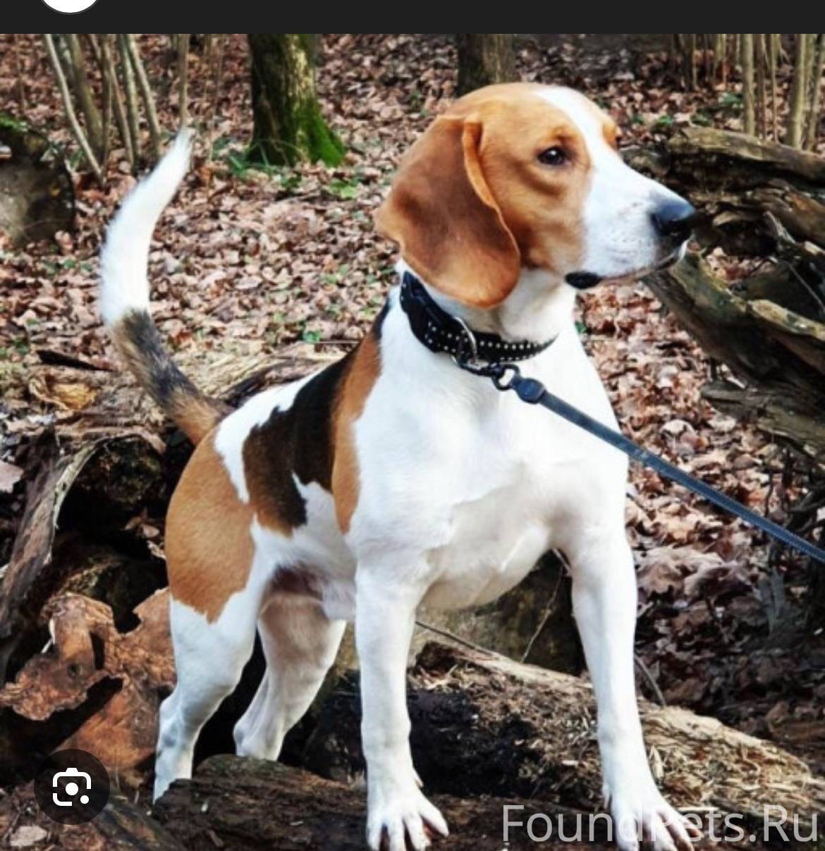 10.11 в районе 11 дня...