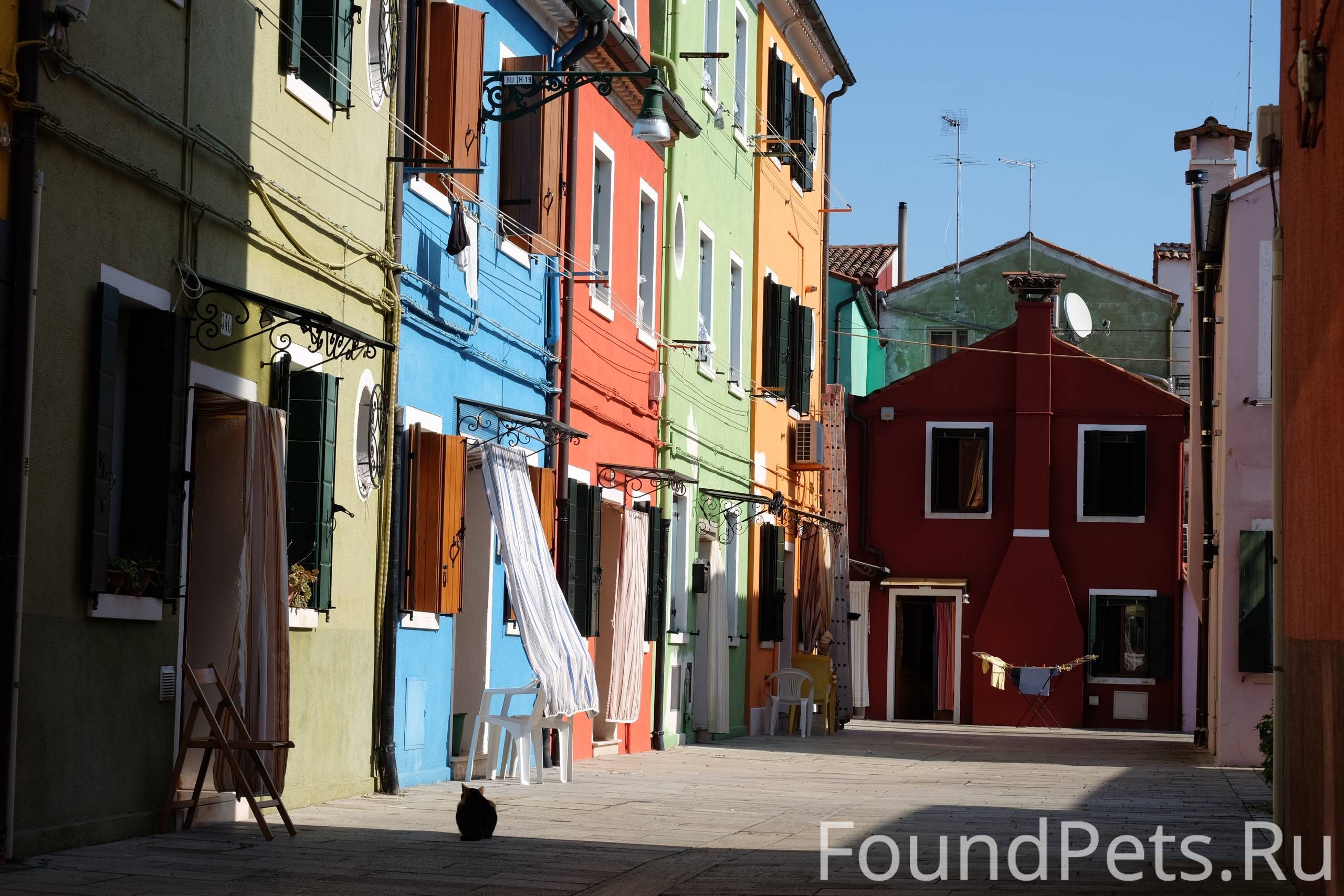 Найдите кота на фотографии)))