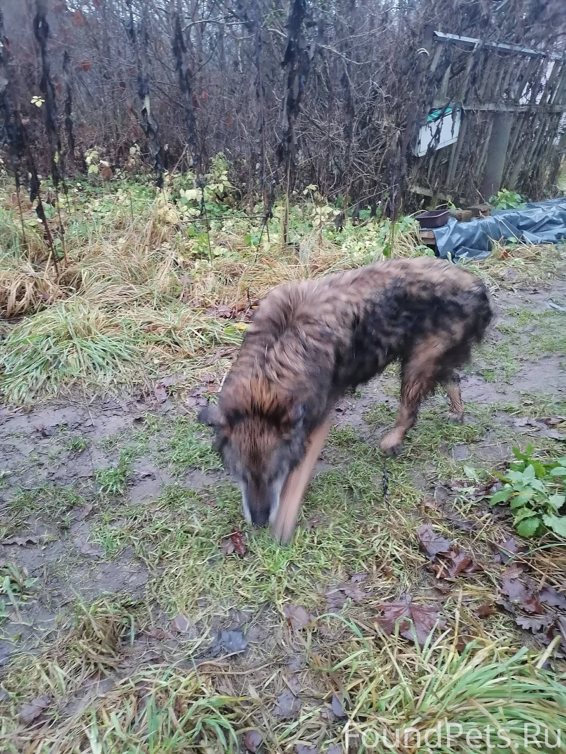 Добрый день, жители посёлка Вы...