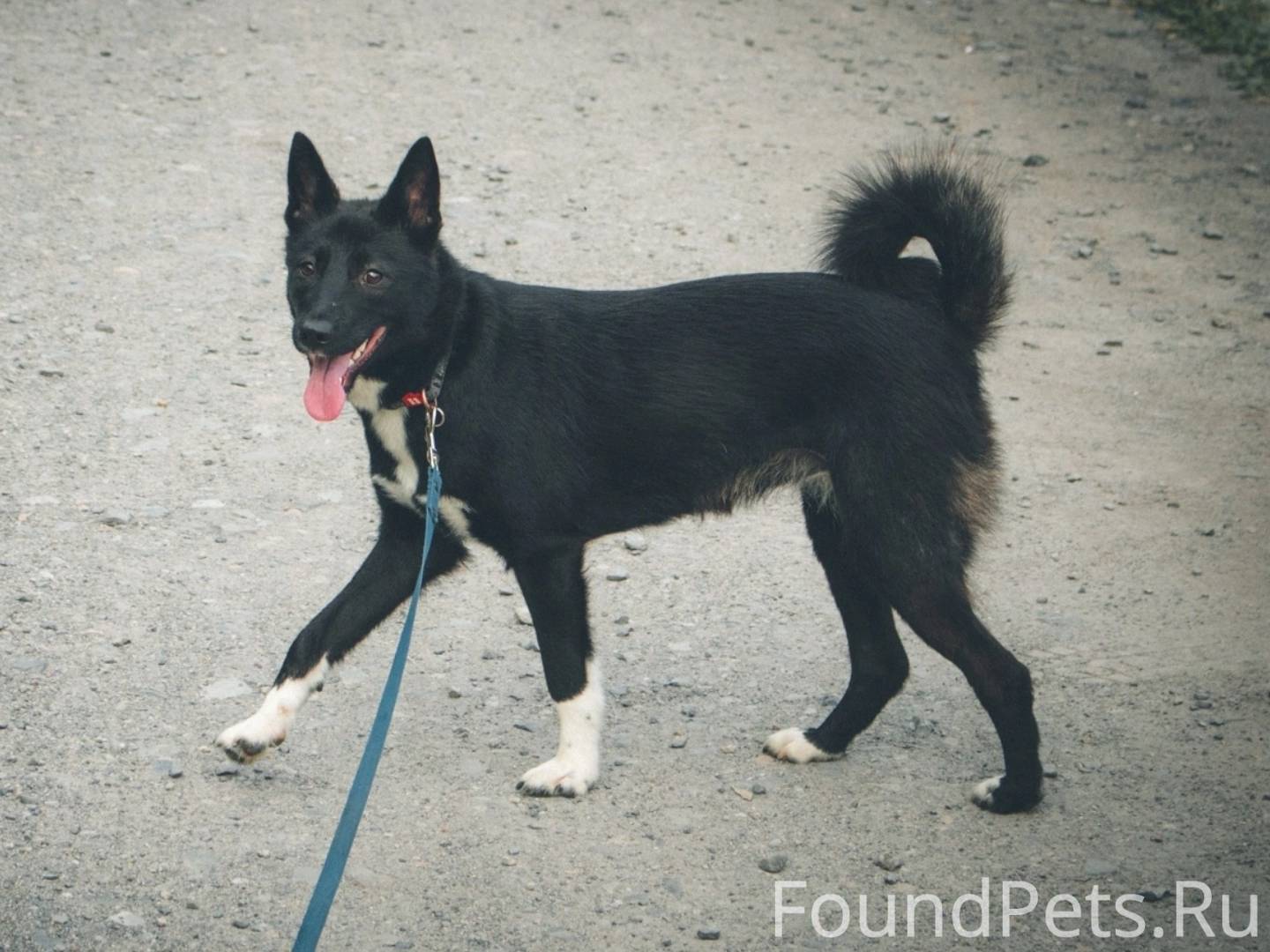 📍жм Плехановский, Калининский ...