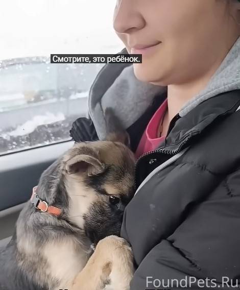 Каждая душа - ищет своего хозя...