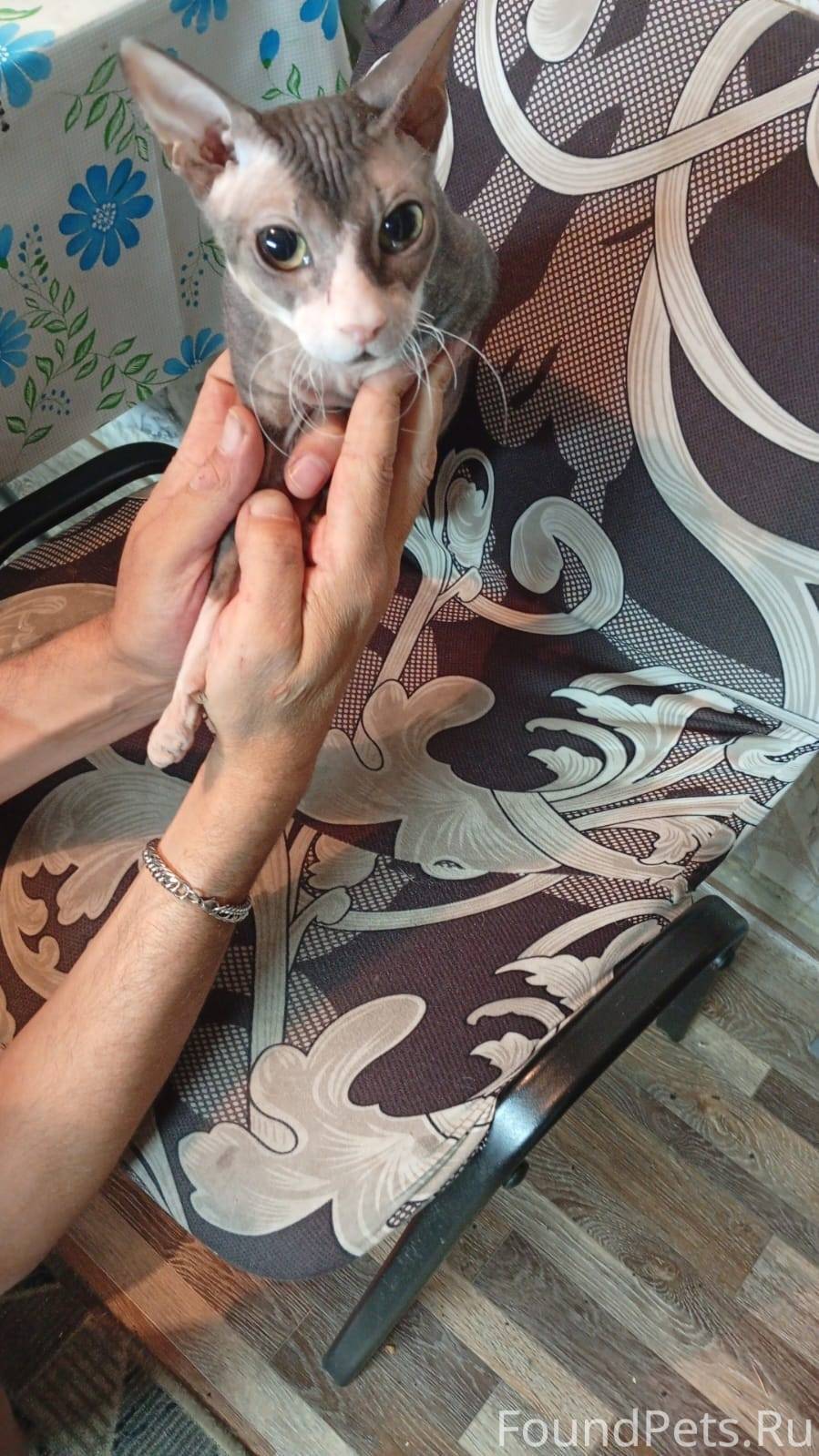 В заозерном в - подъезде , в -...