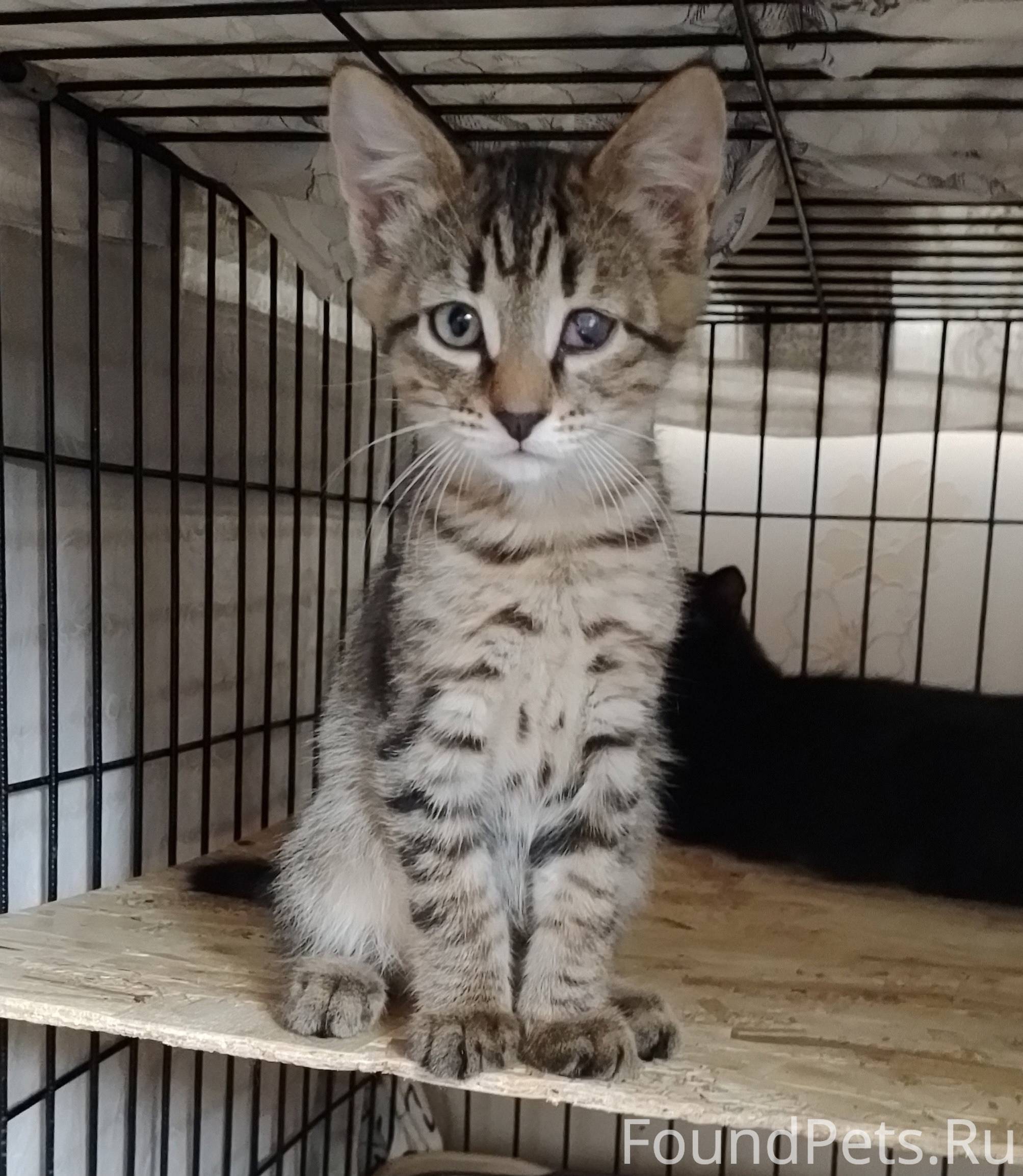 «Шансы небольшие ....но все же...