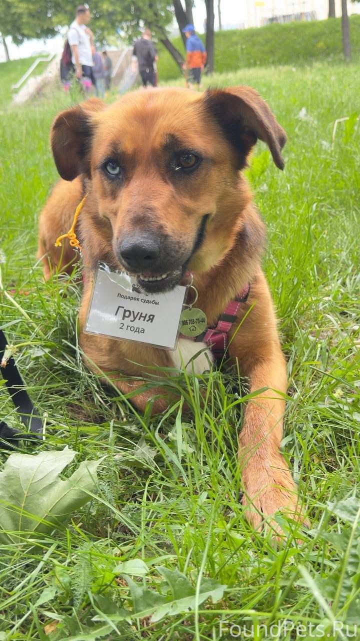 Люди, у нас просто 🆘 ситуация…...