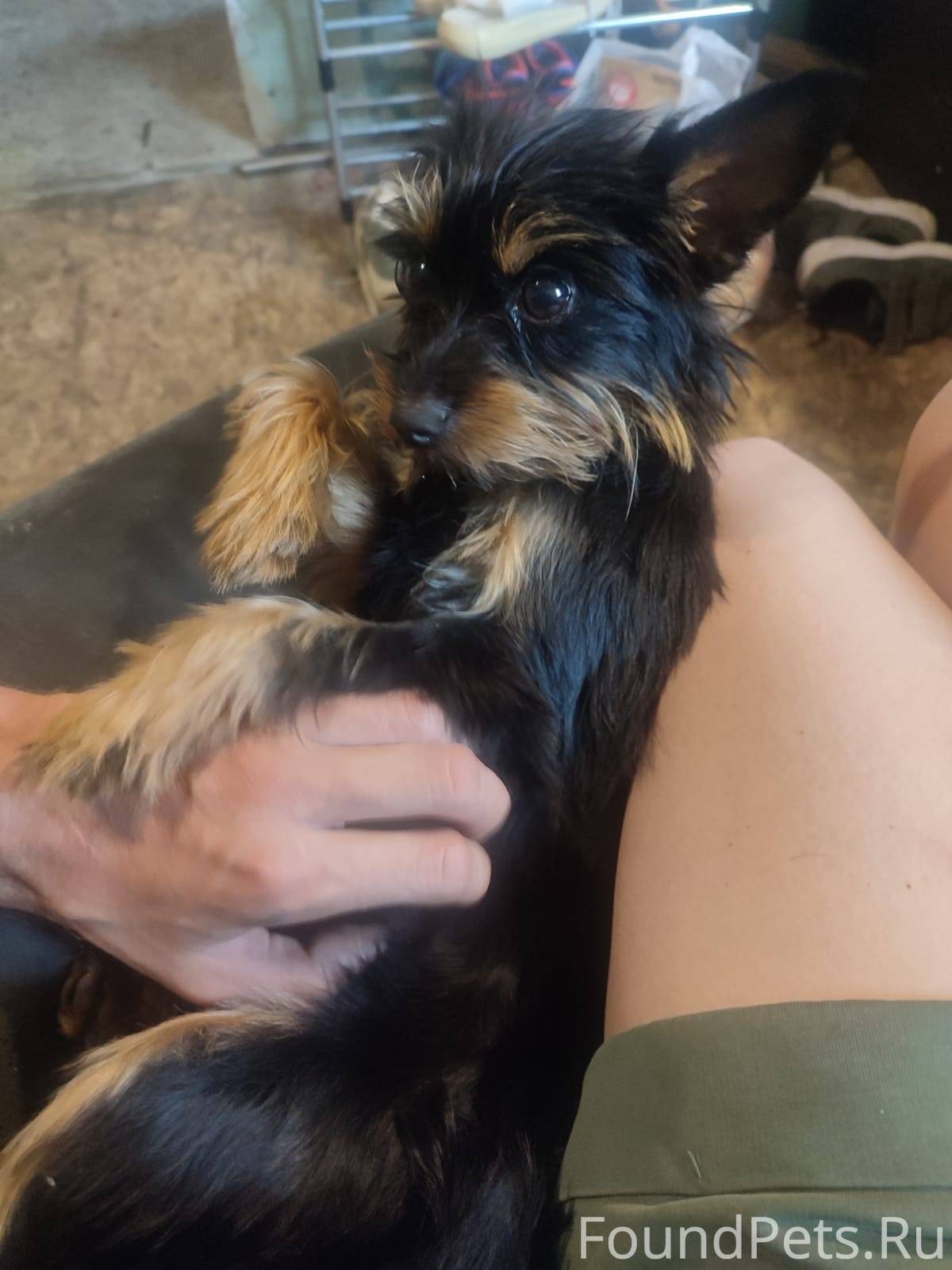 Доброго времени суток! Просим ...