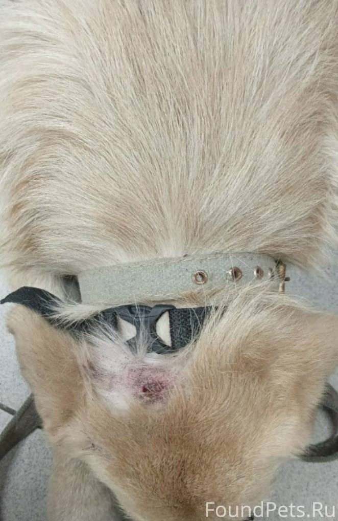 ПОМОГАЮ ИНФОРМАЦИОННО 📣 ЛЮДИ Д...