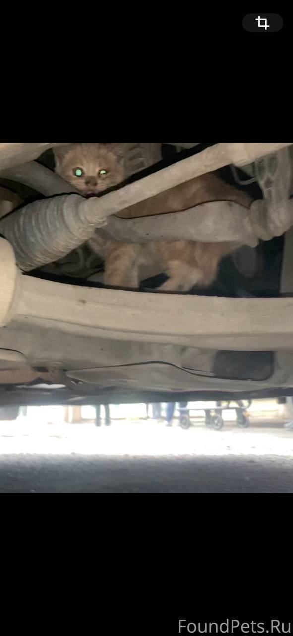 Донецк. SOS.SOS.SOS Калинински...