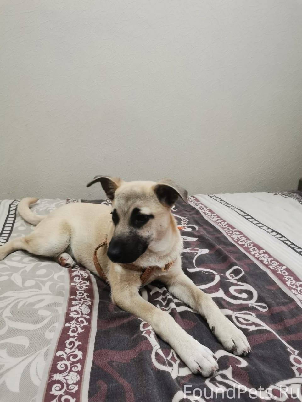 В Володарском районе найден ще...