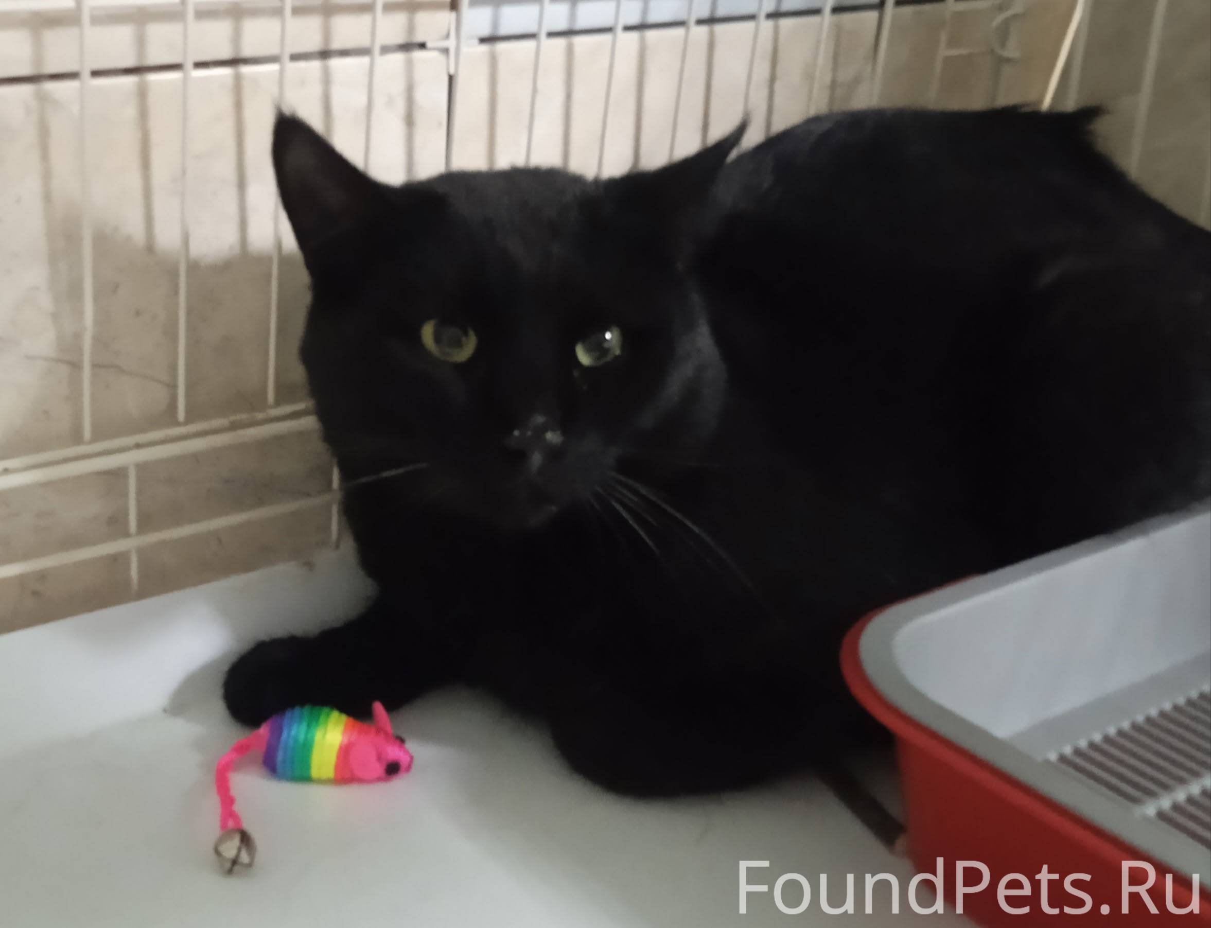 Не живётся мне спокойно, вот о...