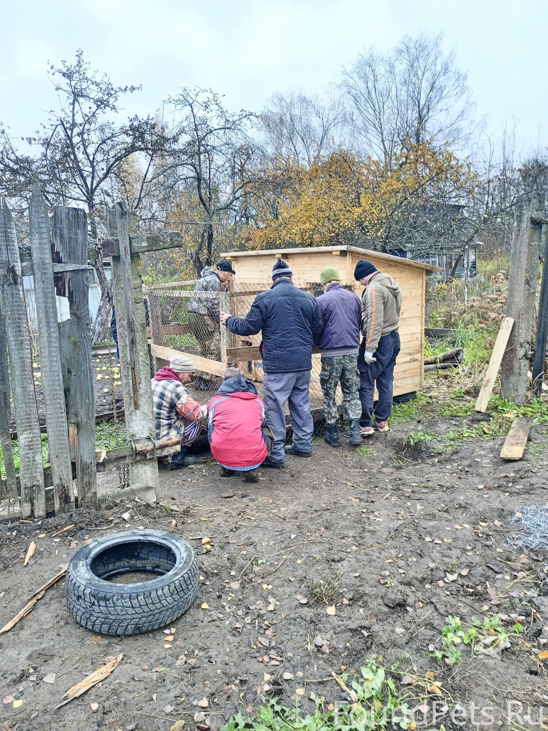 Наконец-то Скай переехал в вол...