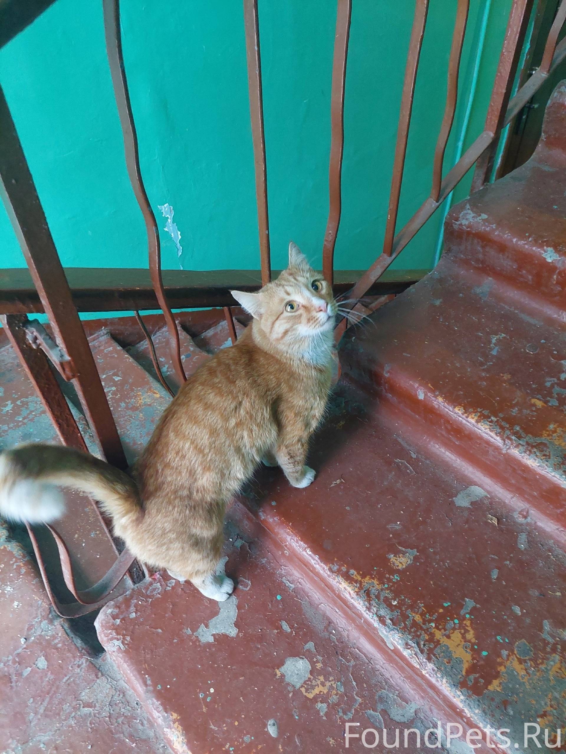 Сегодня утром возле дома 91 в....