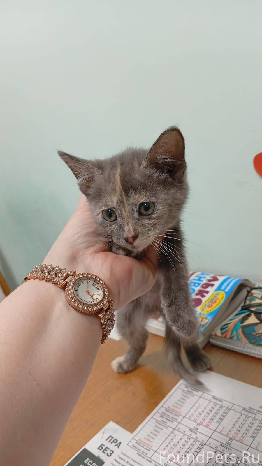 ‼️‼️Срочно! ‼️‼️ У проходной Ш...