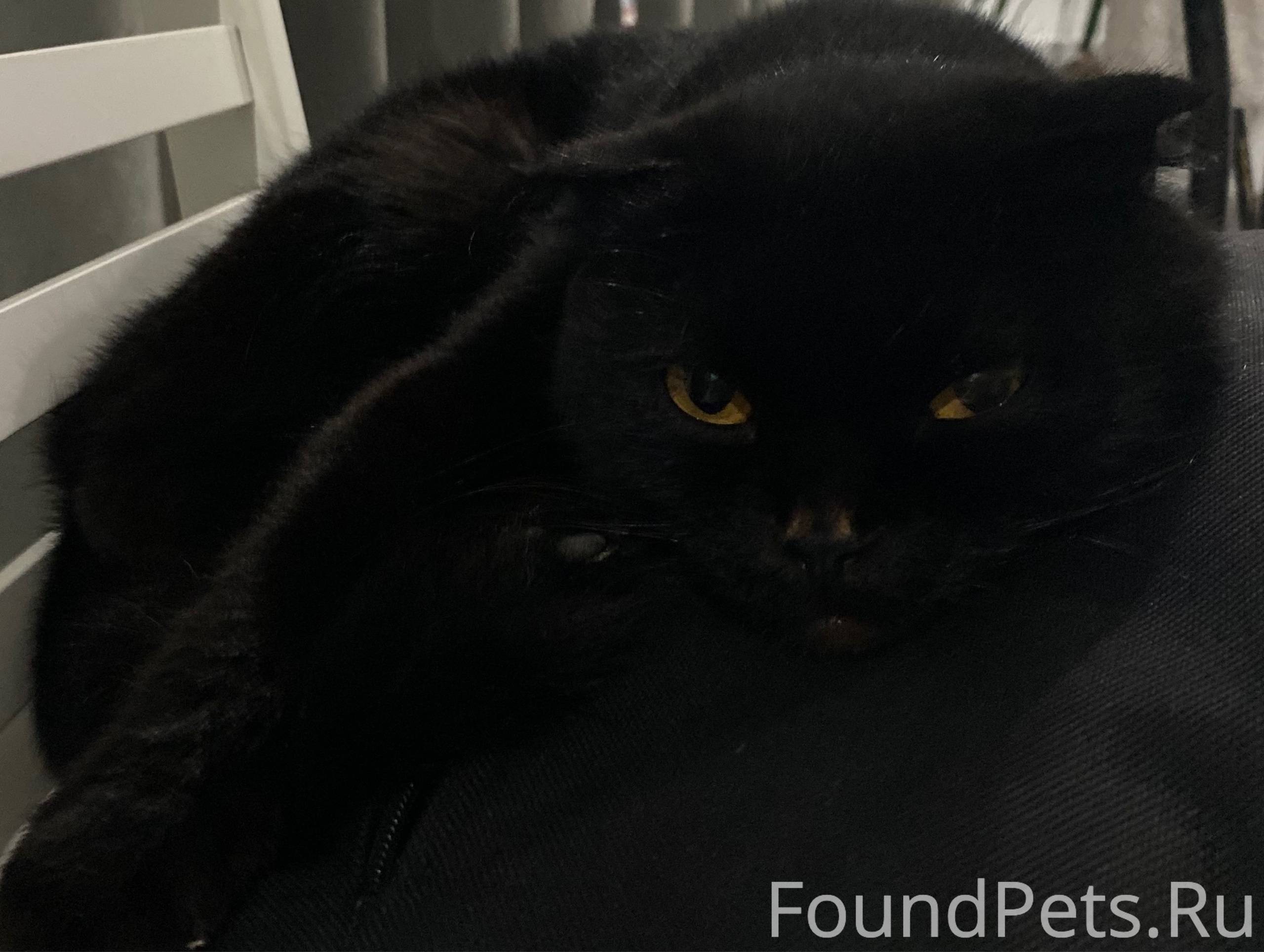 Салам Алейкум! пару дней назад...