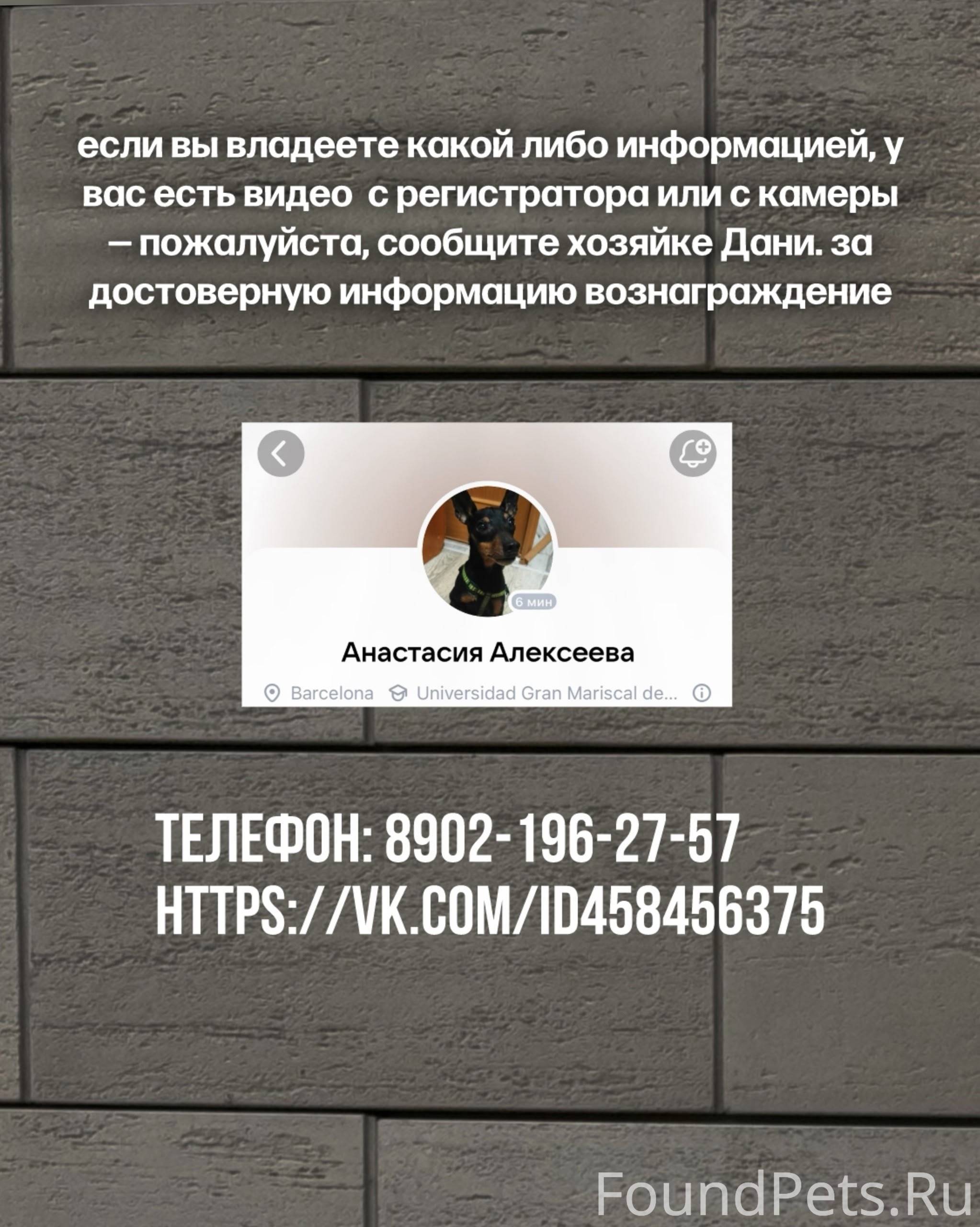 ❗️Даня(цвергпинчер) все еще не...