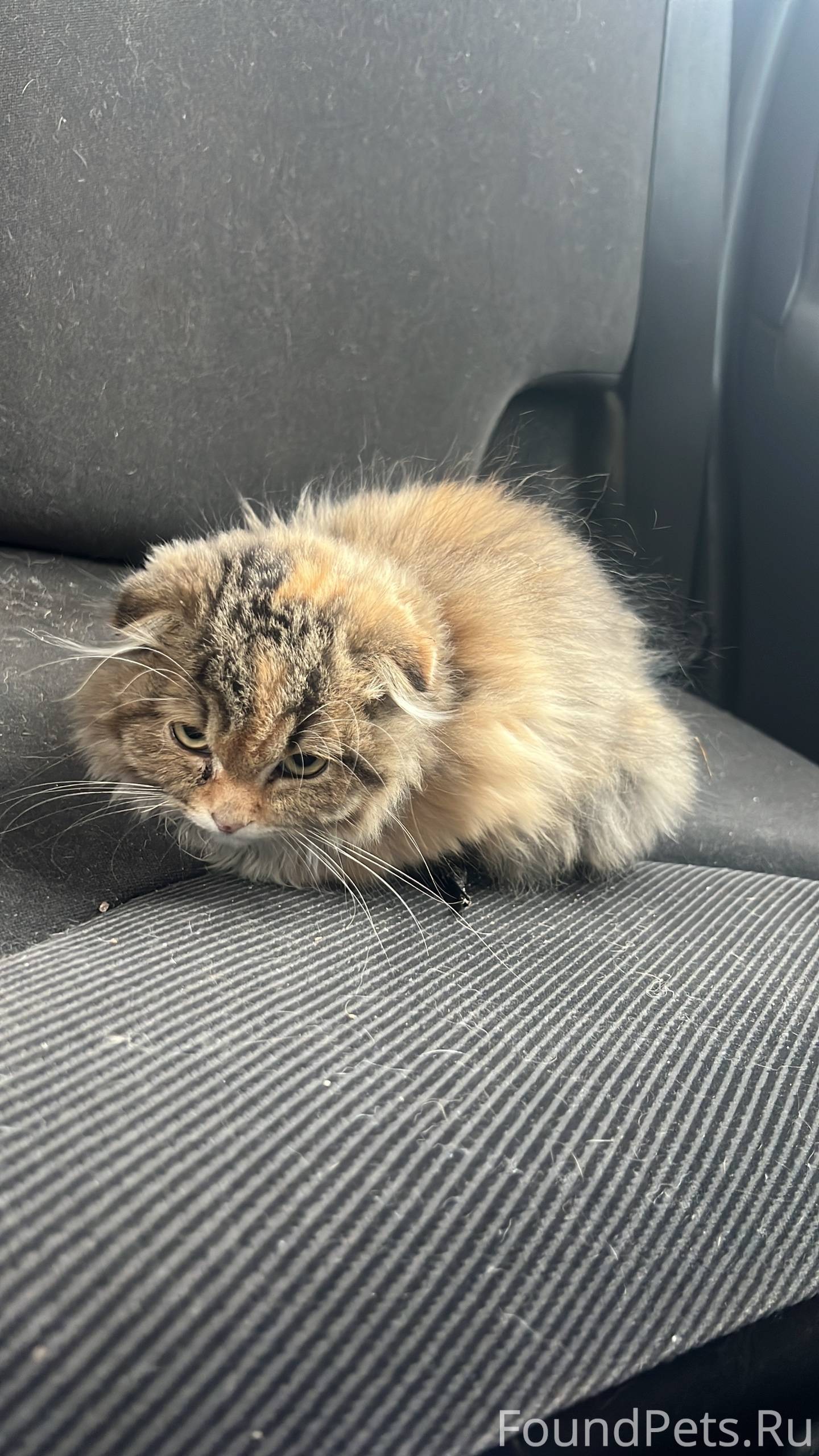 Электросталь МО #нужнапомощь_п...