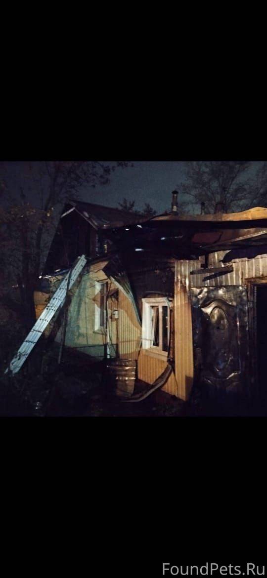 Уфа, Инорс. Нужна помощь!!!! 😔...