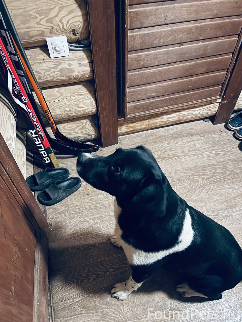 Пожалуйста 🥺 Срочно ❗ репосты ...