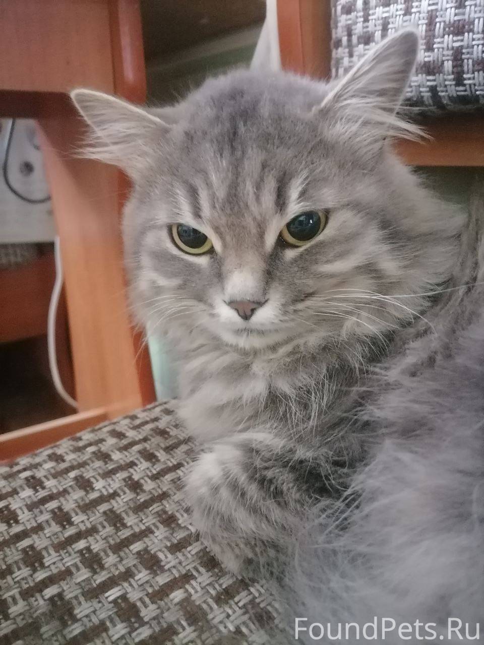 Продолжаем искать!!!!!! Город ...