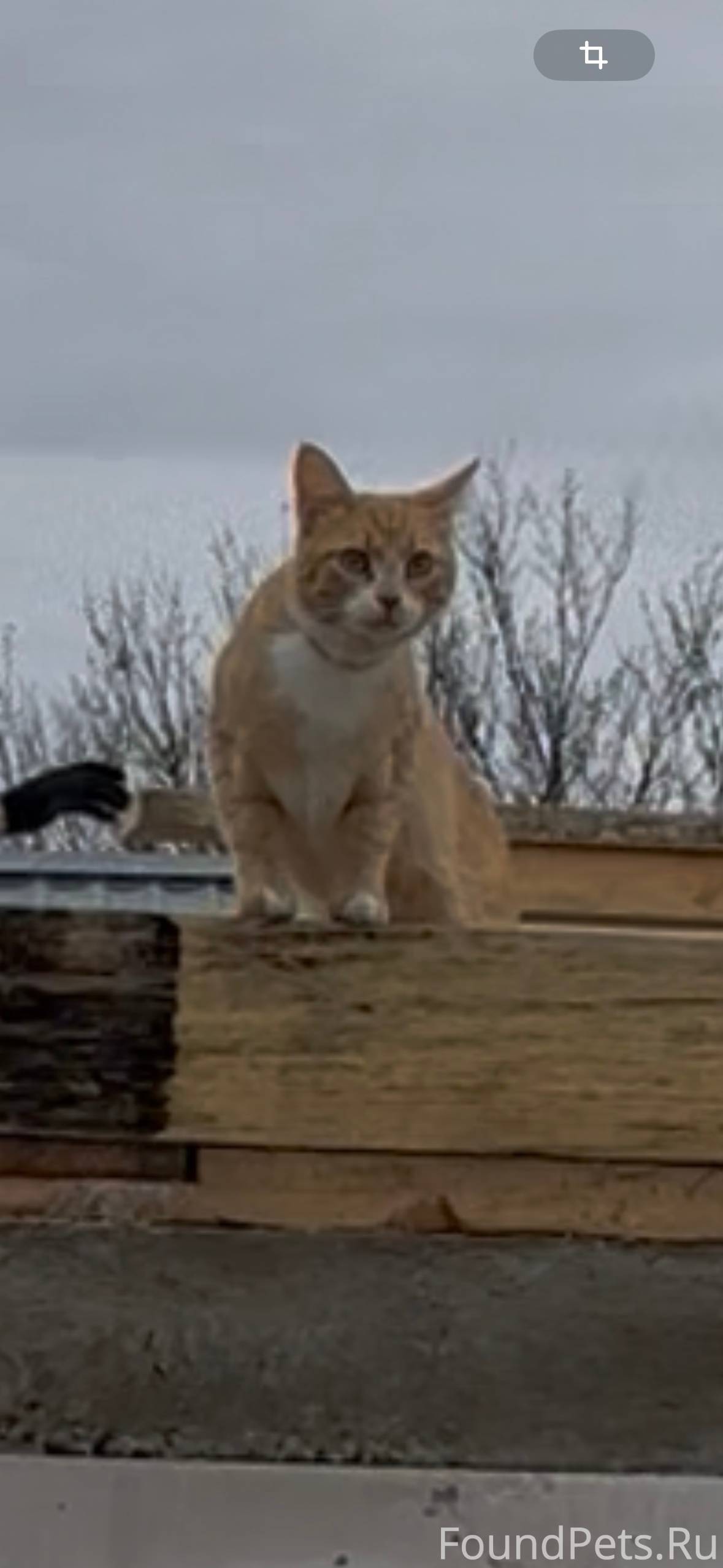 Помогите найти Бонифация!!!!! ...