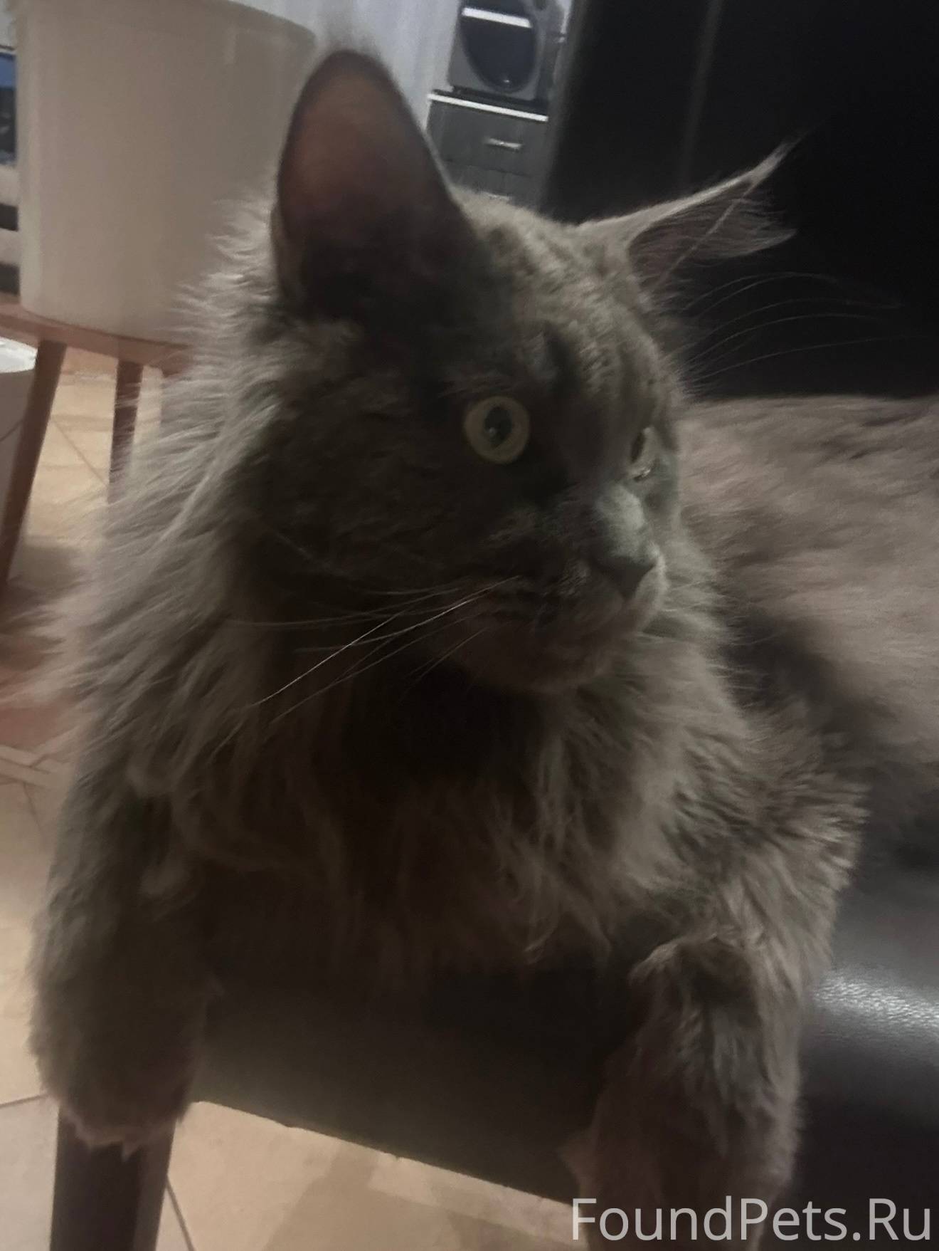 ‼️ СРОЧНО ‼️ 10 ноября пропал....