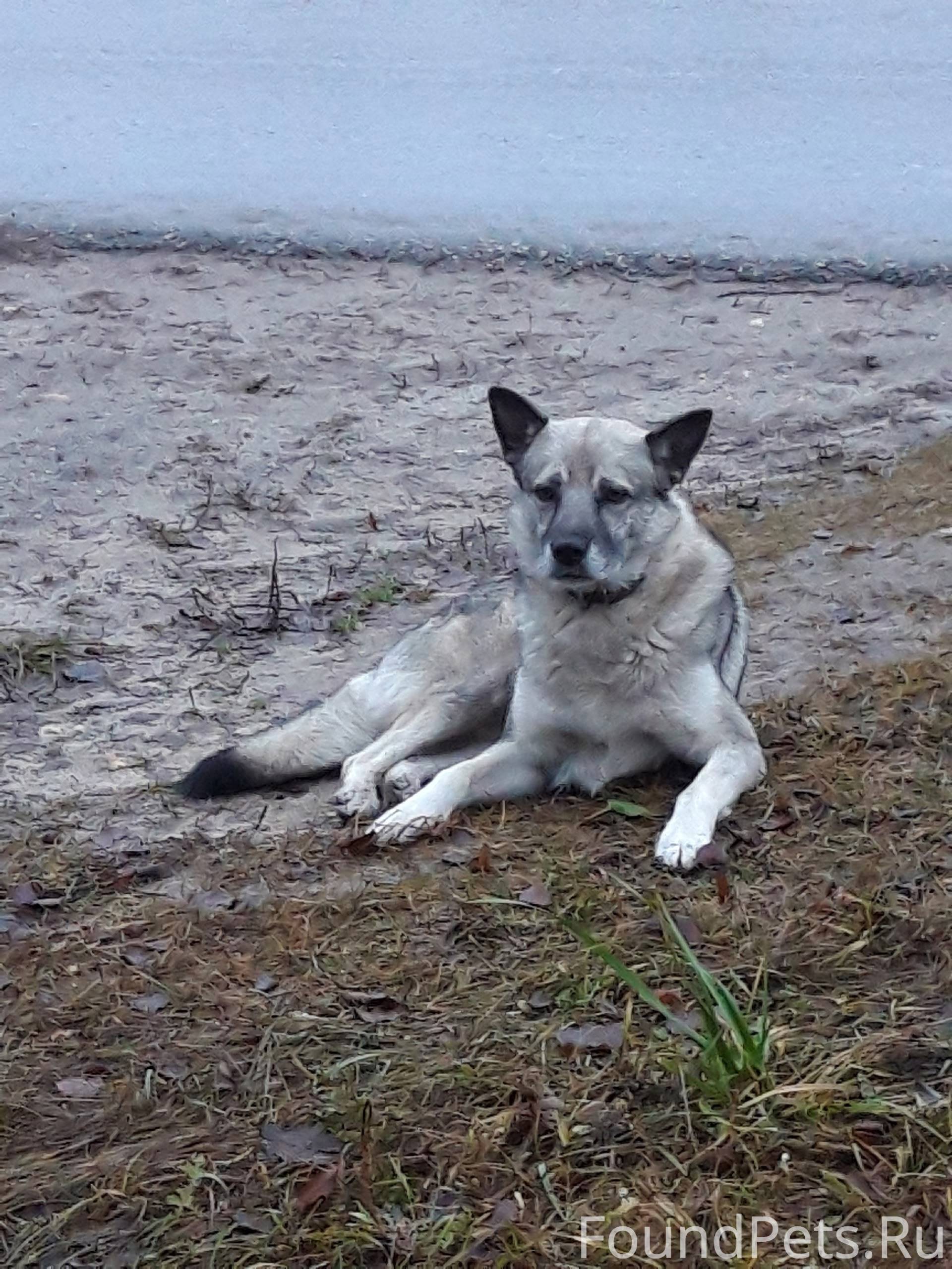 Помогаем информационно! Всех п...