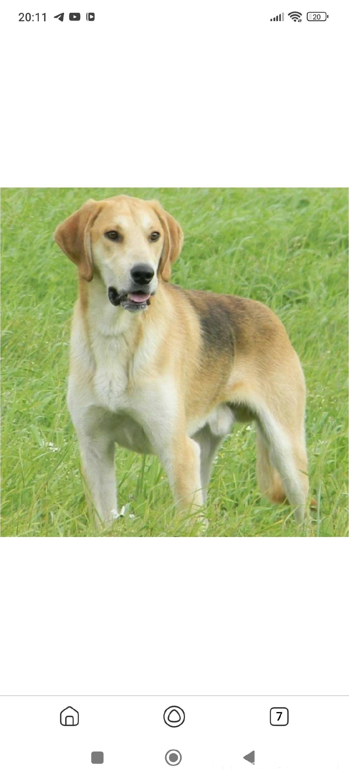 Уважаемые проживающие в Бороду...