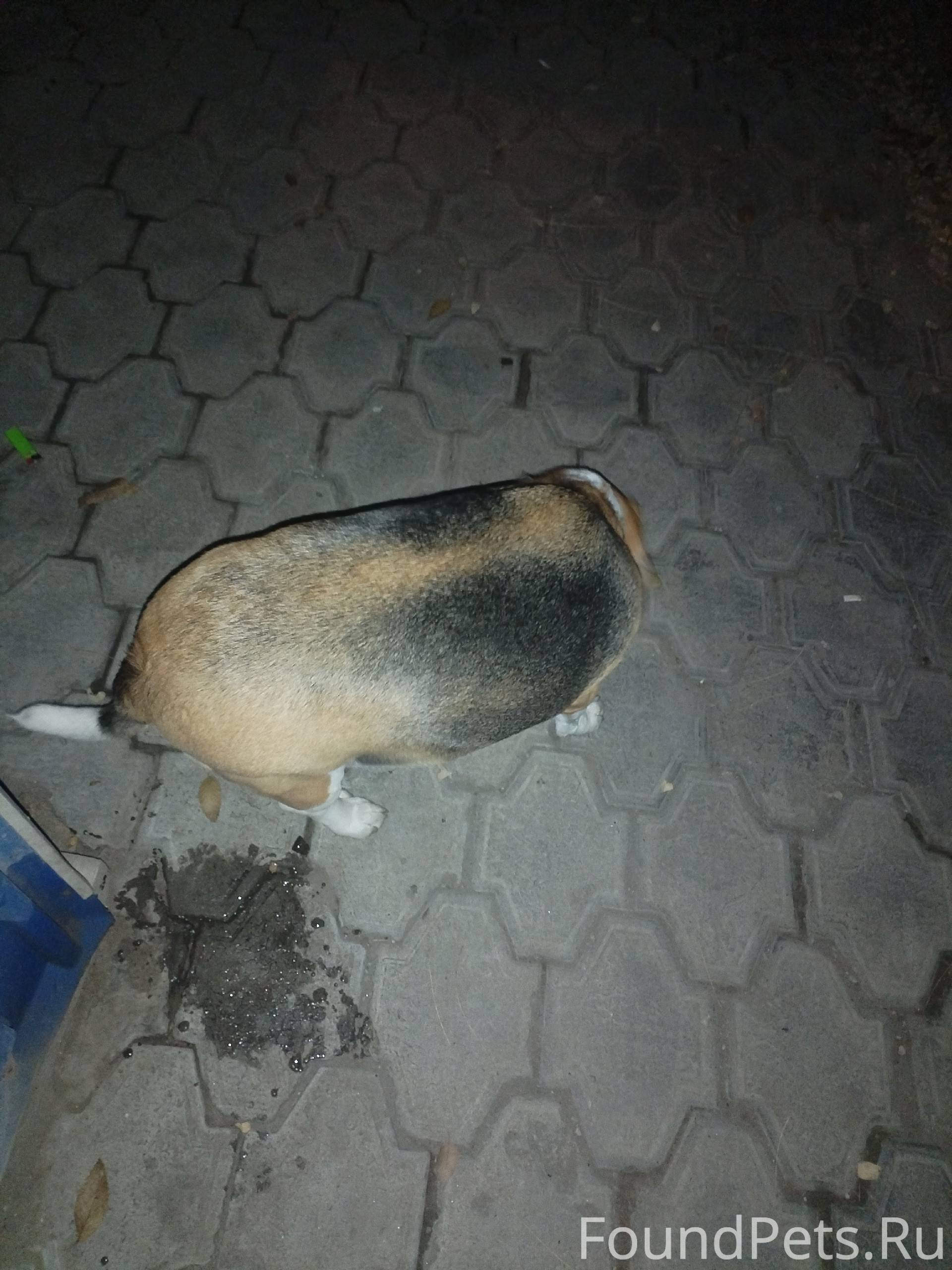 Завод Ленина на остановке на с...