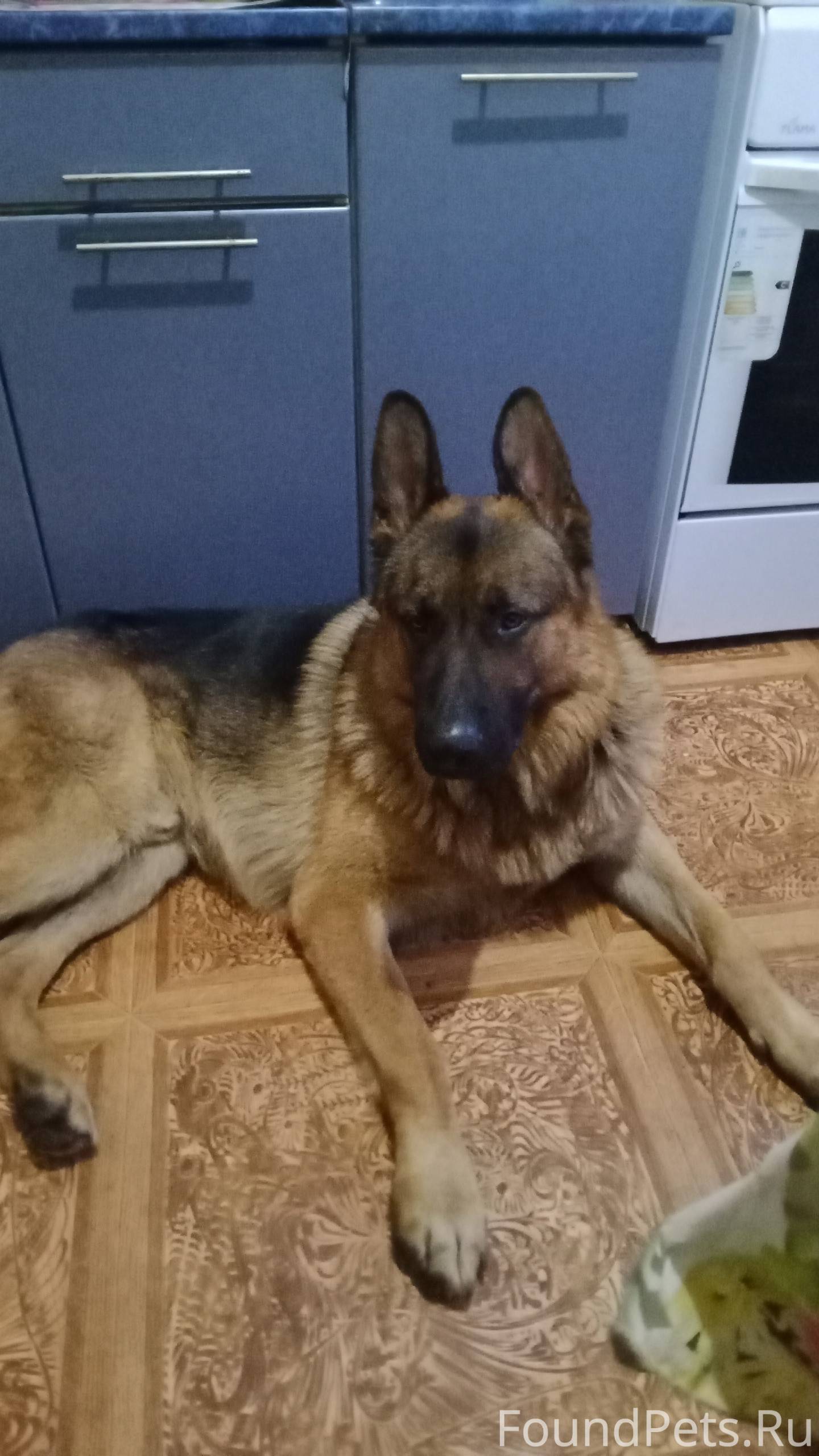 В Привокзальном микрорайоне,по...