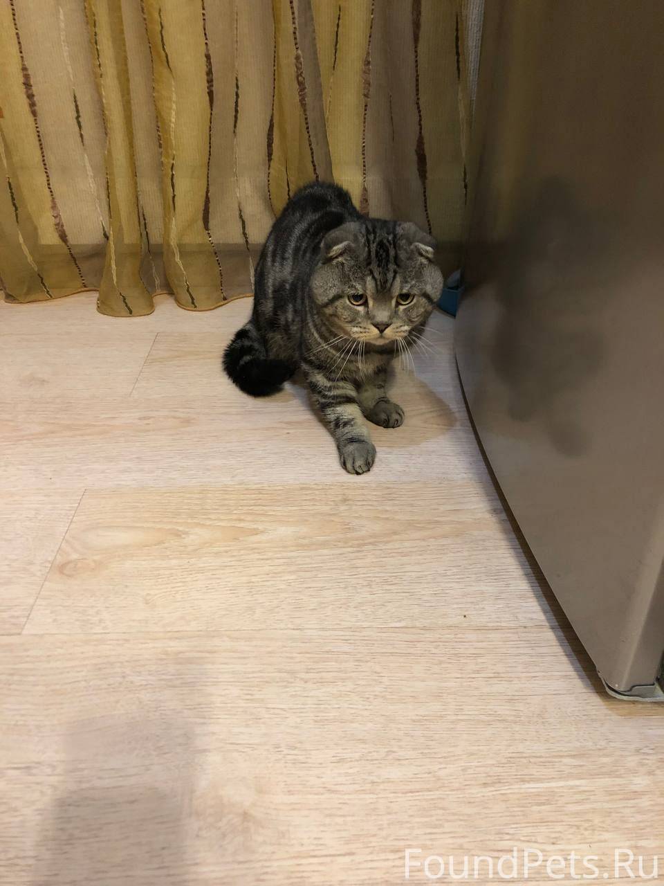 В районе ул. Хвойной найден ко...