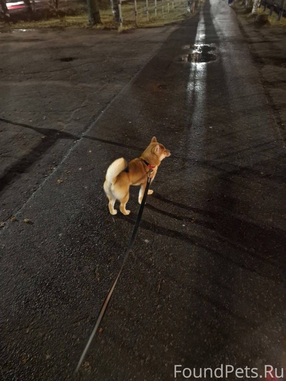 Добрый вечер! Помогите пожалуй...